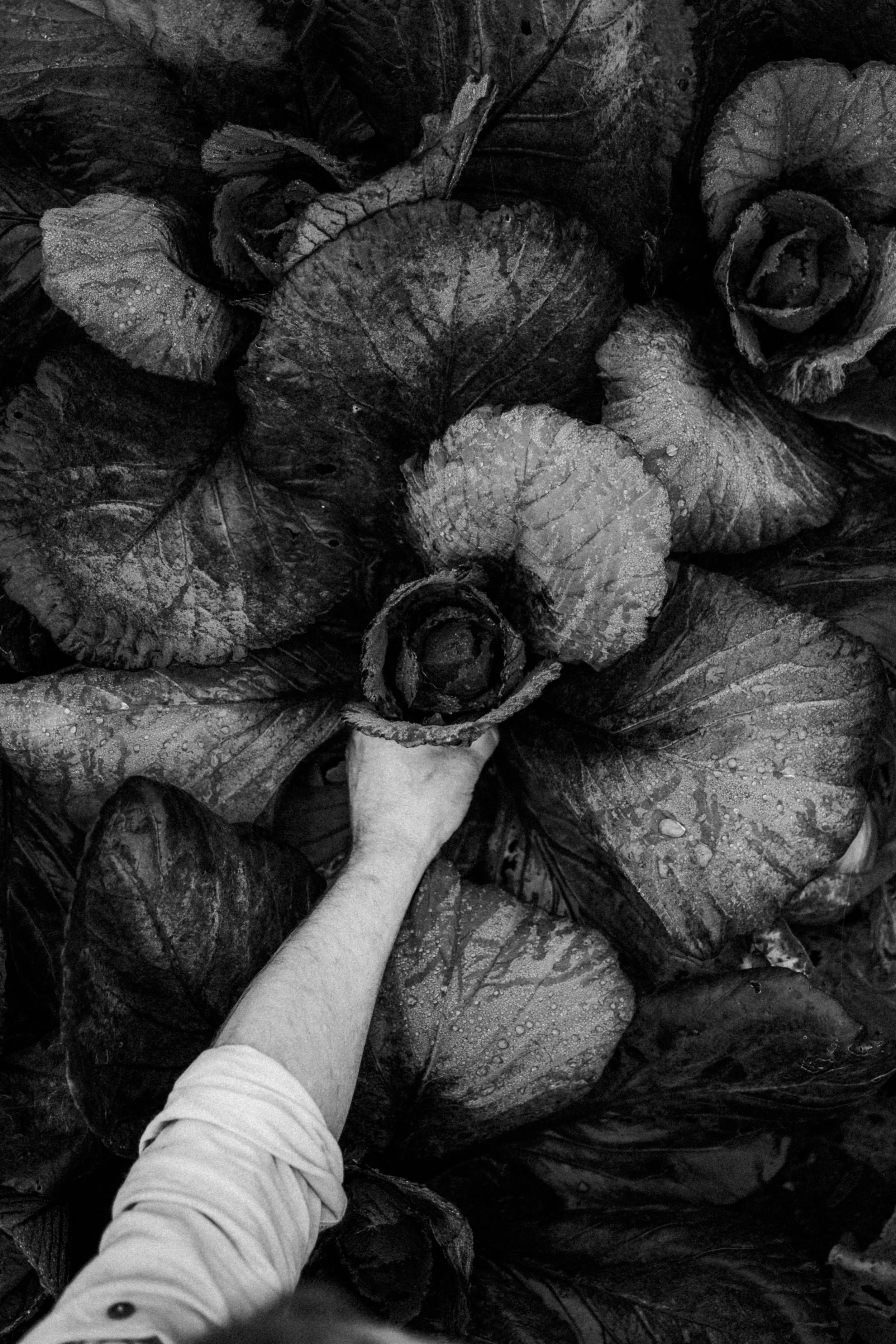 20251126 - Bistro lof - © Chantal Arnts-20.jpg