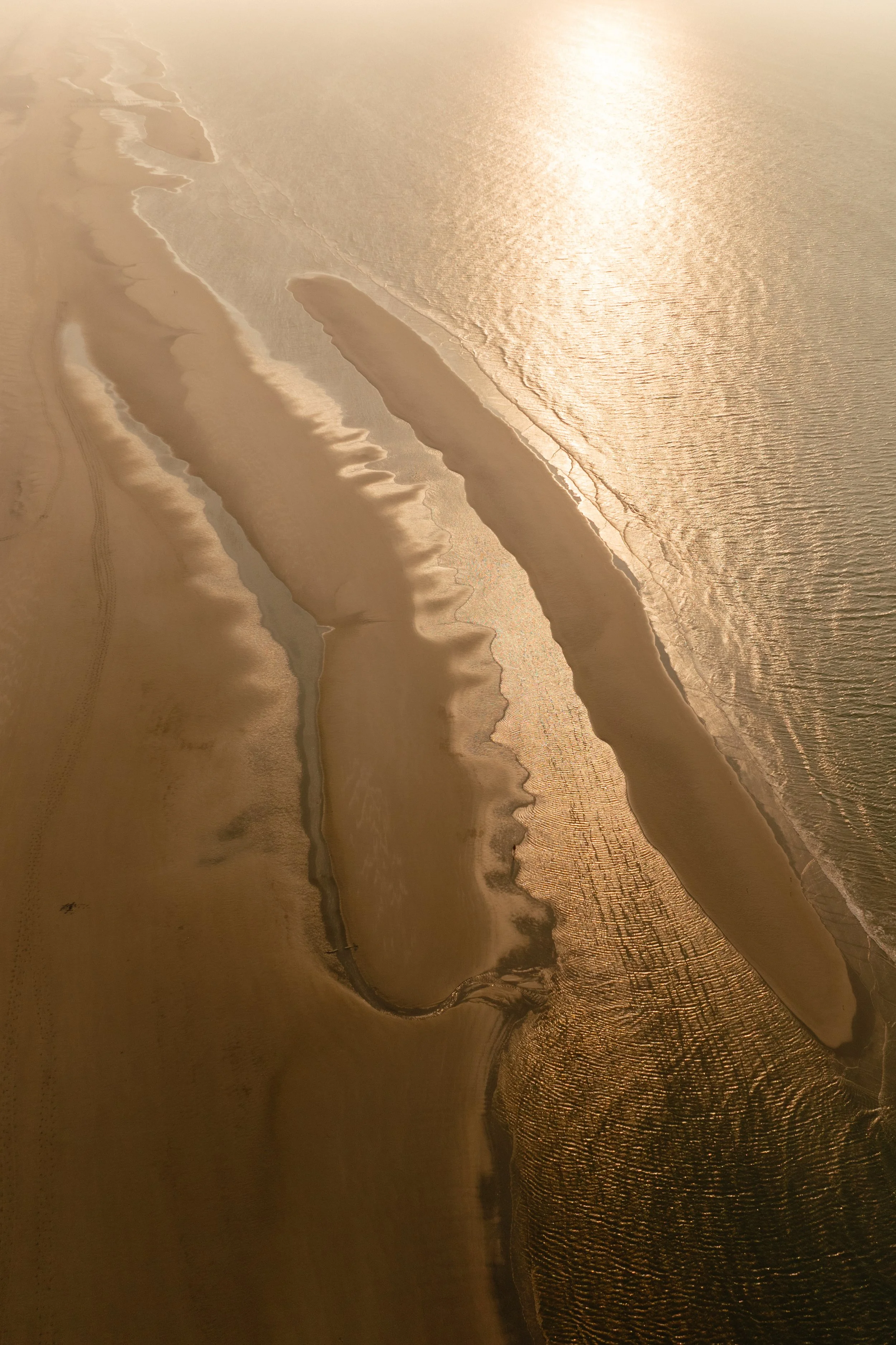 20250811 - Duun Terschelling - © Chantal Arnts-50.jpg