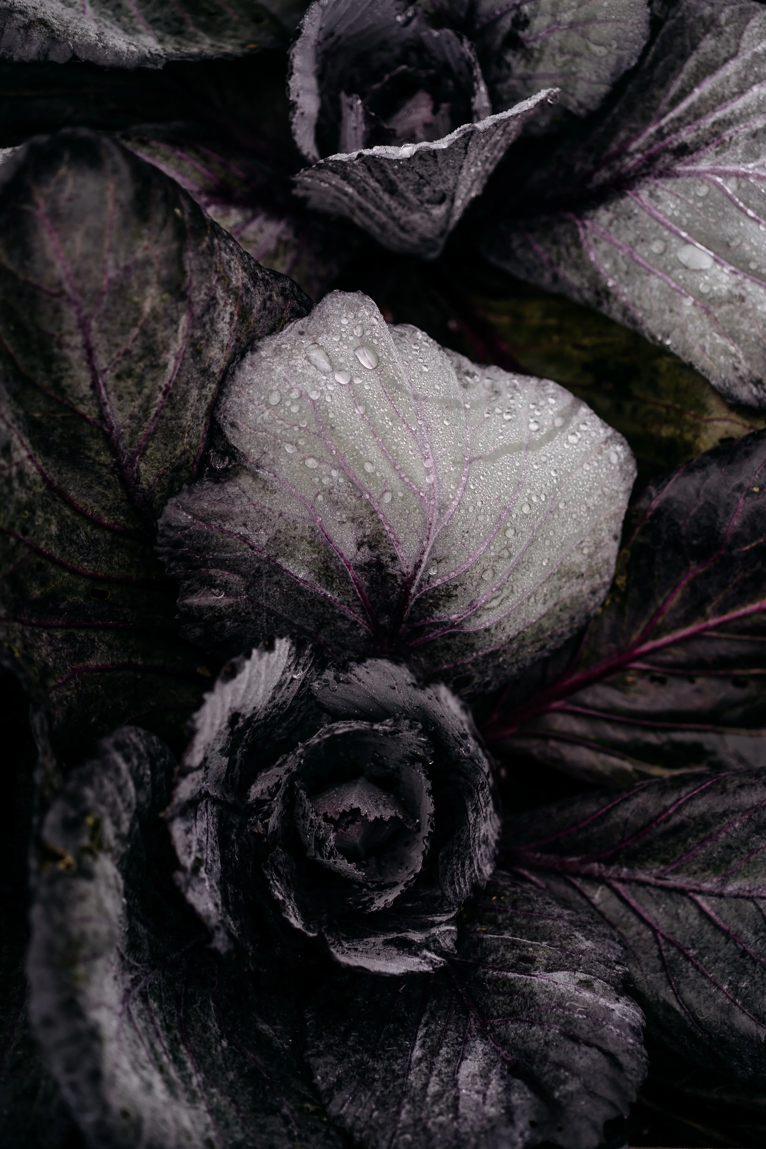 20251126 - Bistro lof - © Chantal Arnts-16.jpg