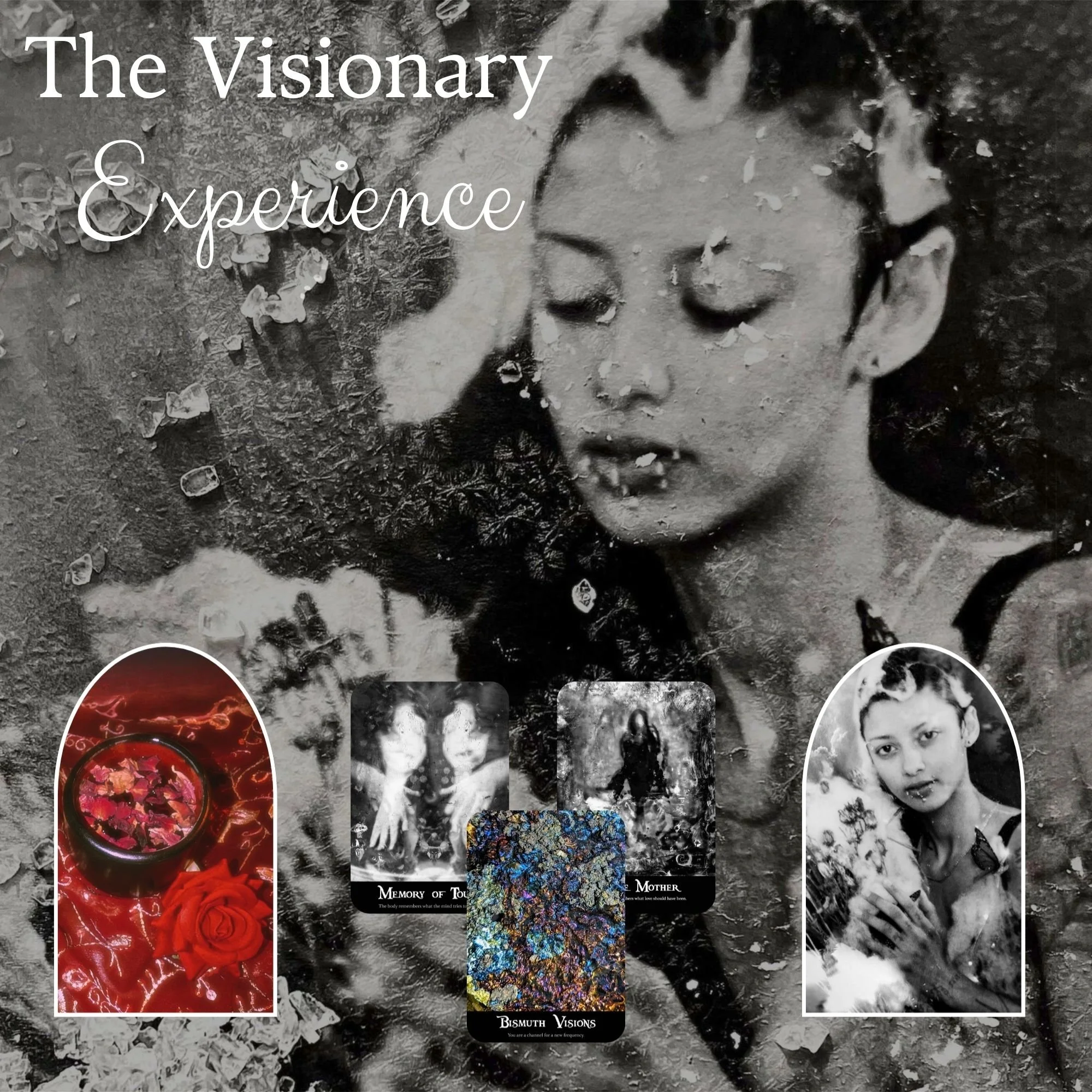 The Visionary Experience