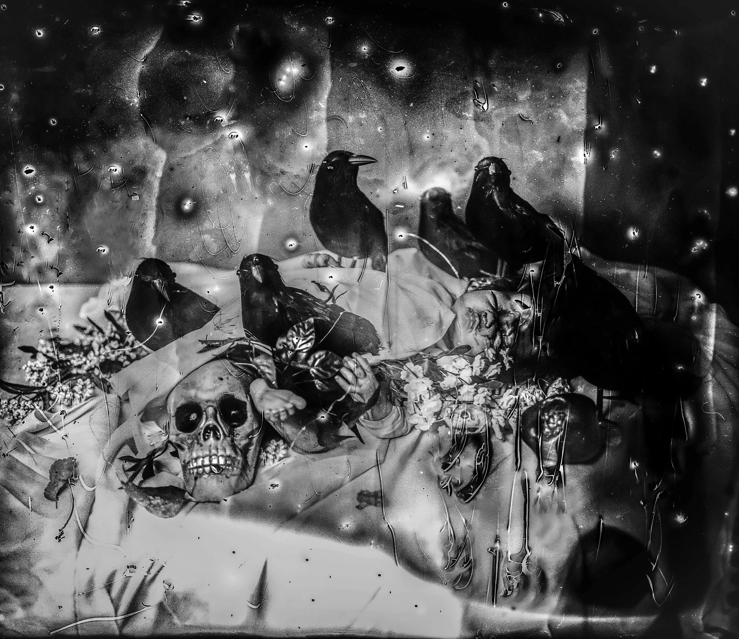 Black and white image depicting a human skull surrounded by crows and flowers, with a person lying underneath. The scene is artistic and atmospheric.