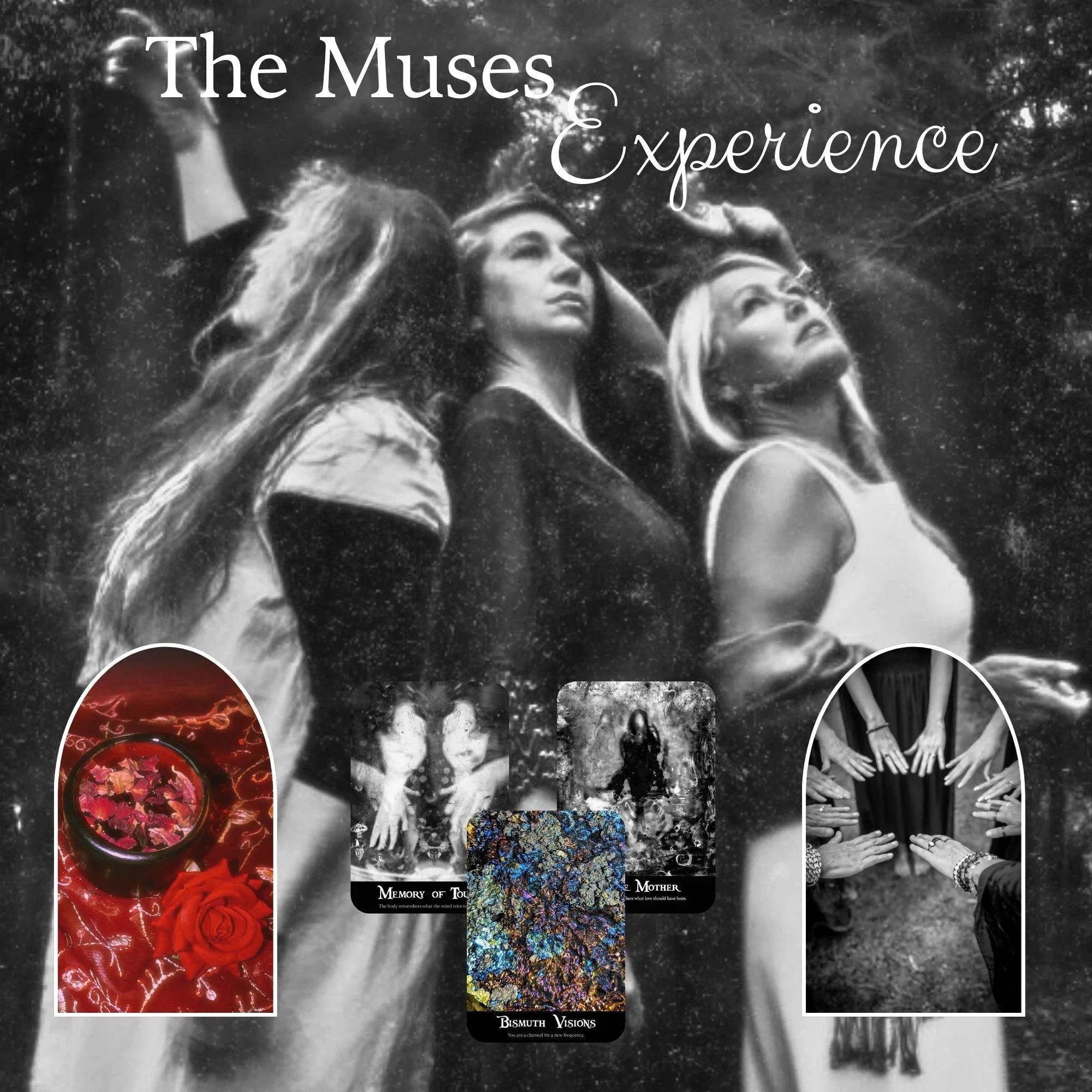 The Muses Experience