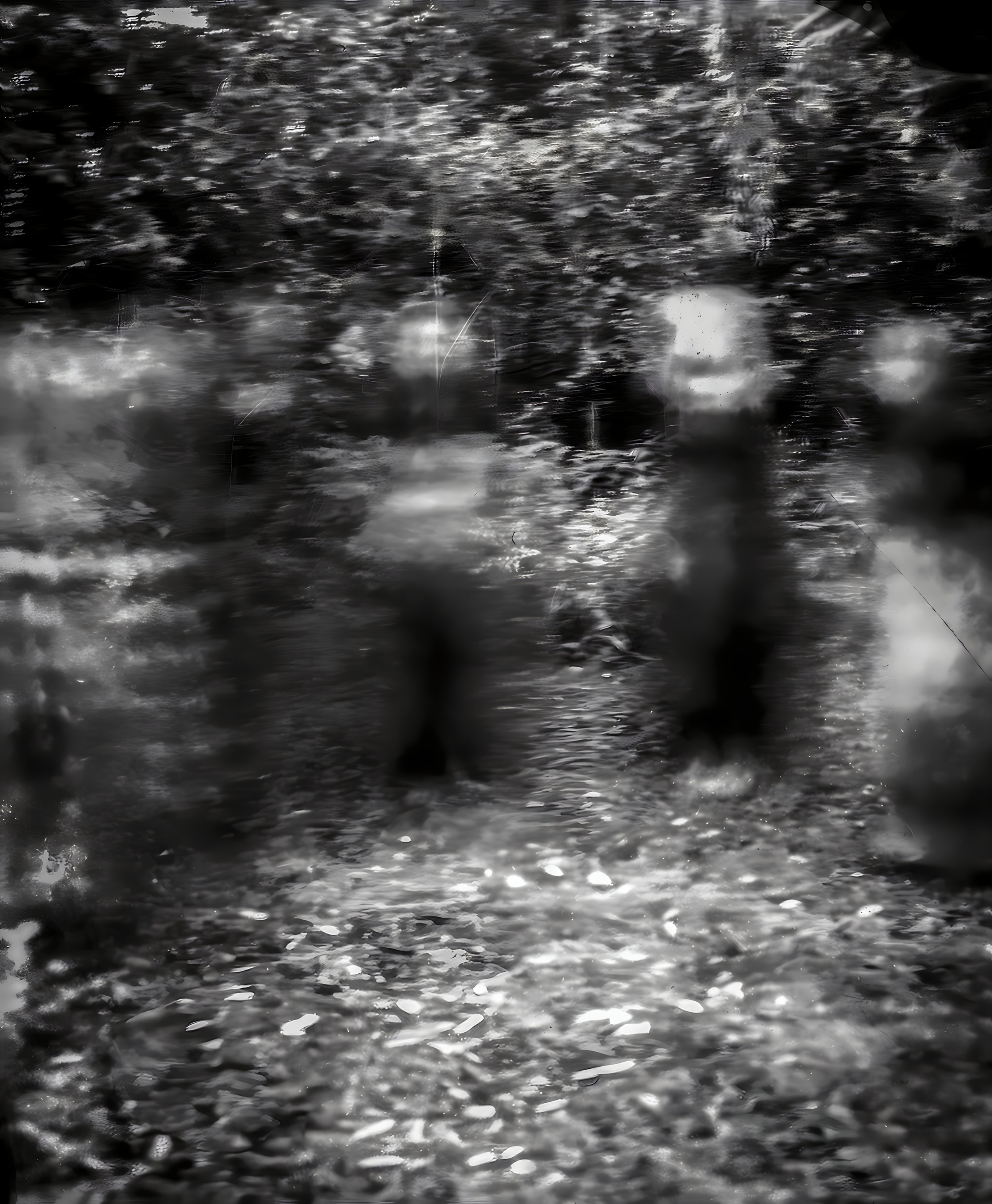 Abstract black and white image with blurred figures in a forest setting