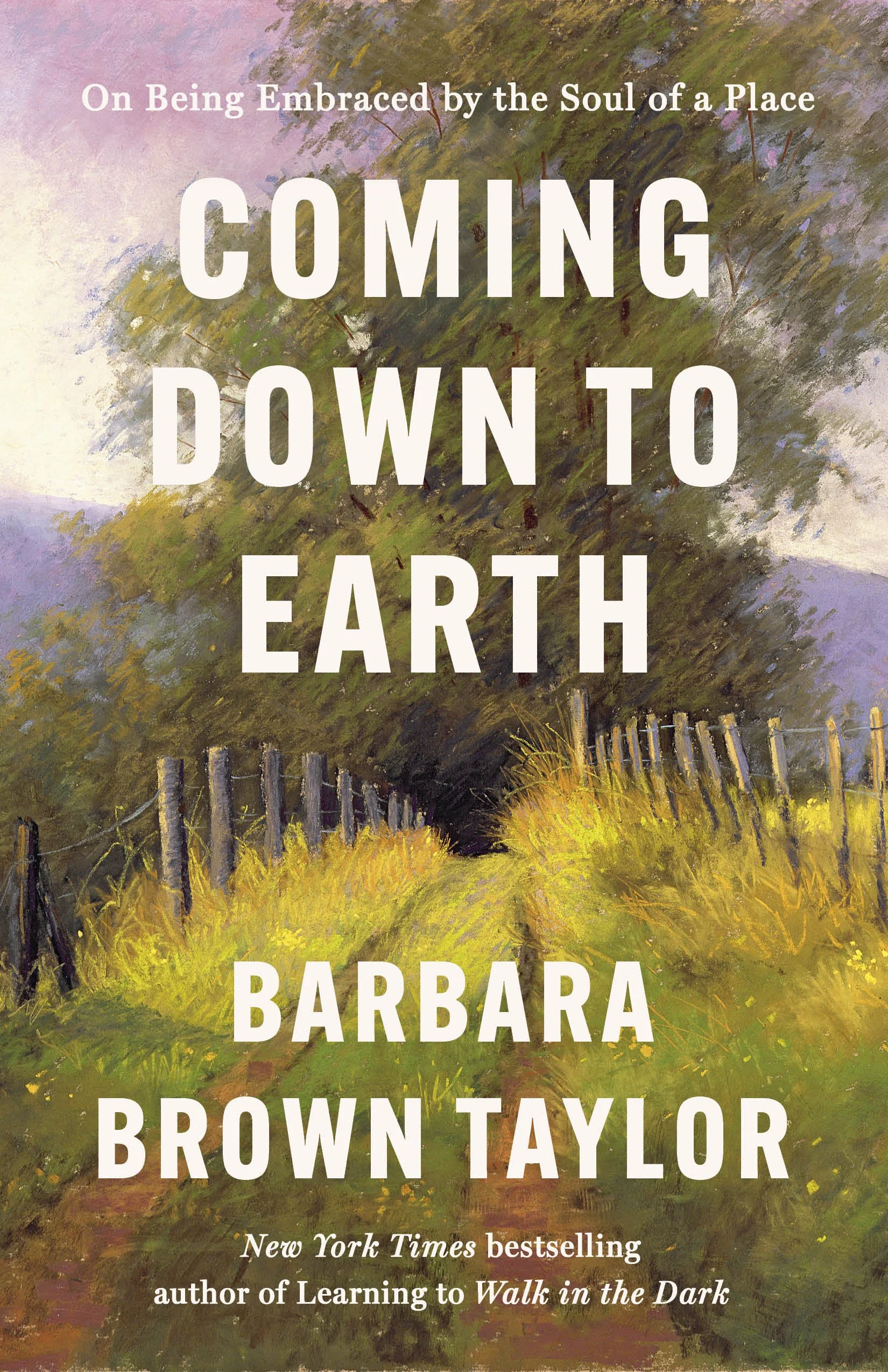ComingDowntoEarth-7.31.jpg