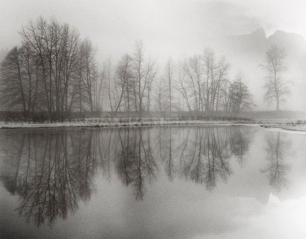 Frameable art print of Merced River and Trees, Yosemite by Jeffrey Conley