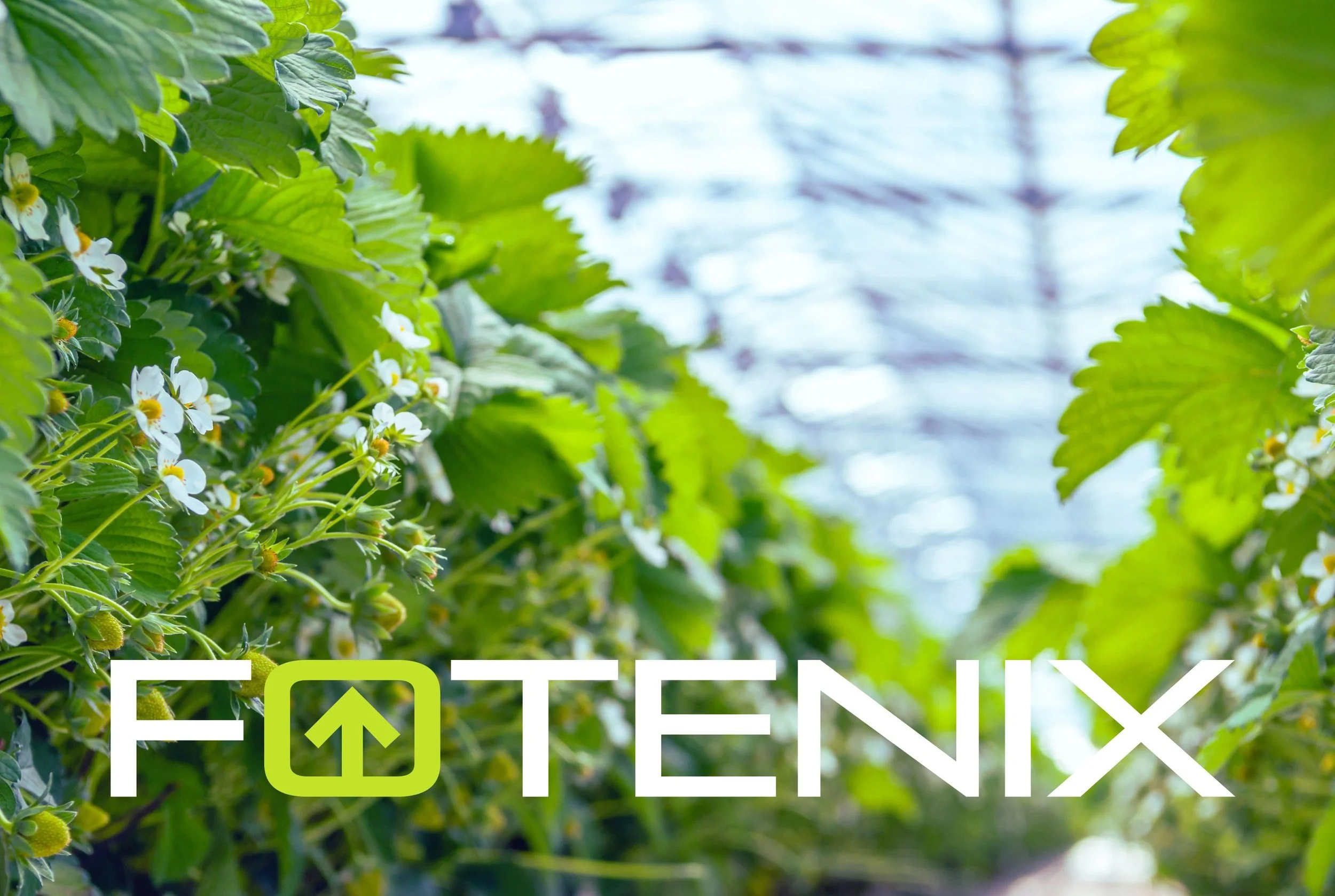 Fotenix - Agri-tech & AI