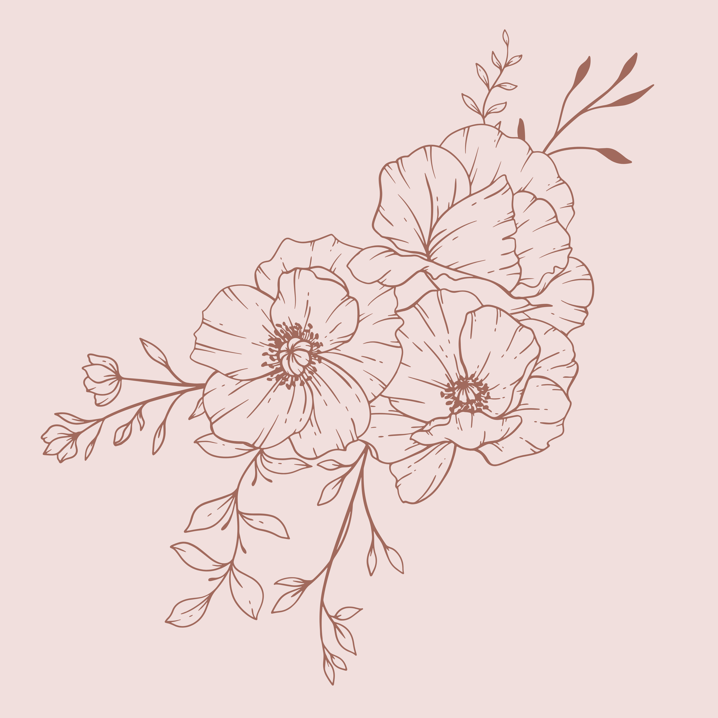 Flourish Package