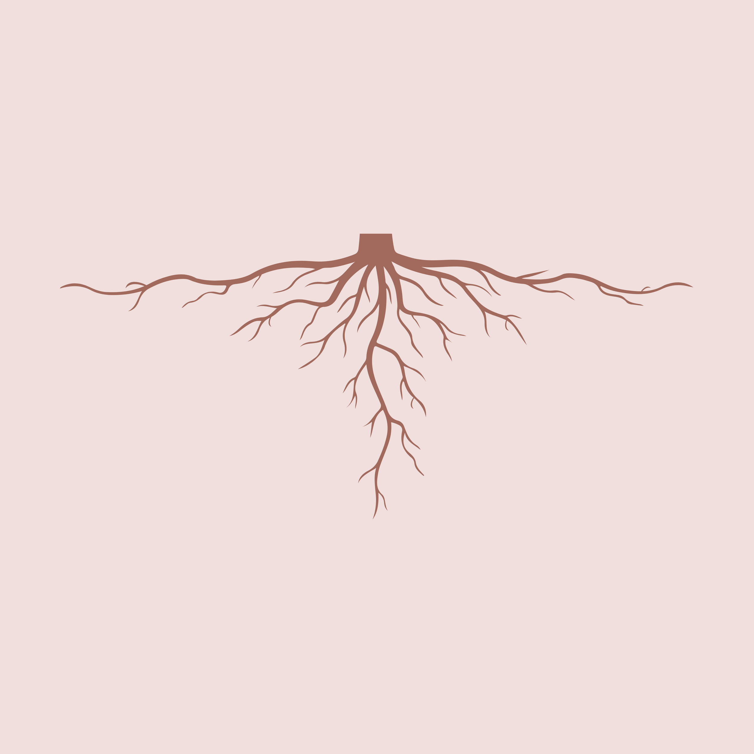 Rooted Package