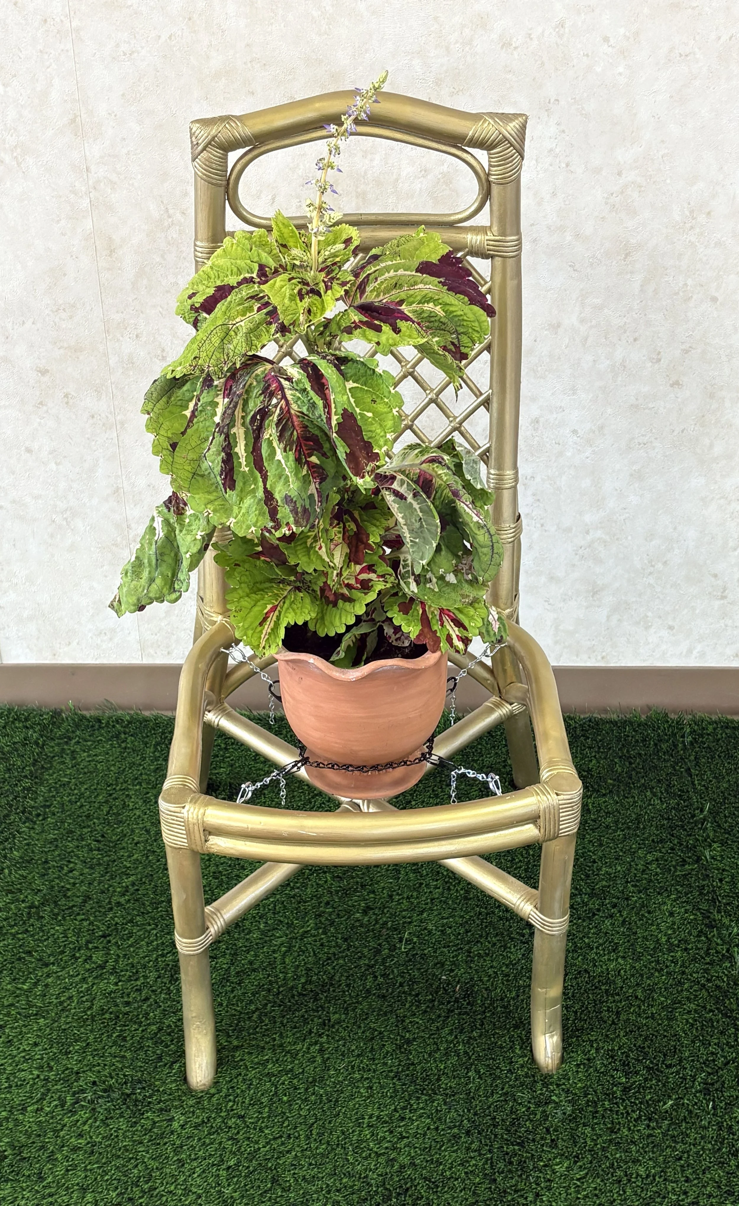 AirGarden Pic05