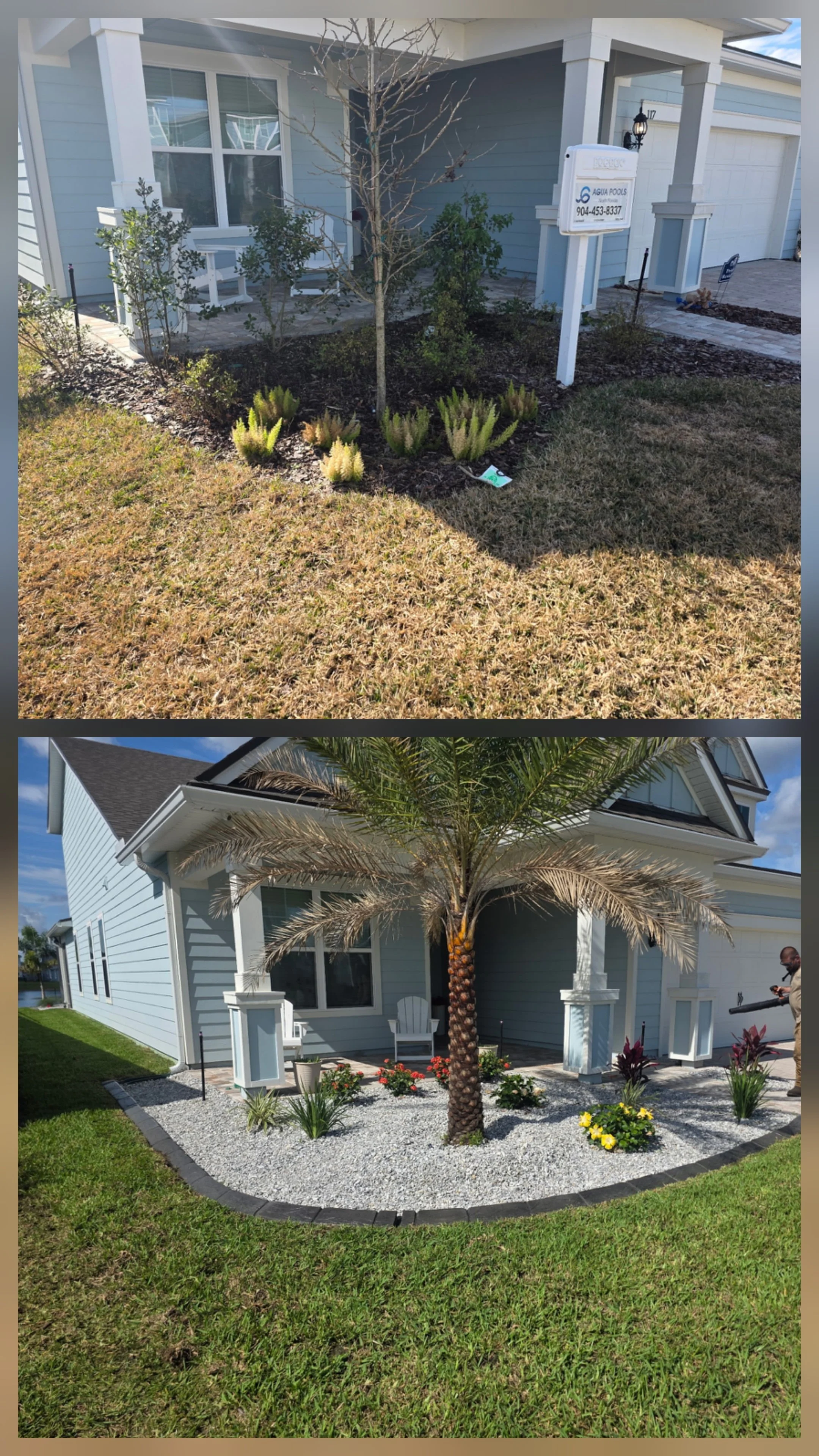 Rock Installation / Plant Installation and new Palm Tree in St Johns County