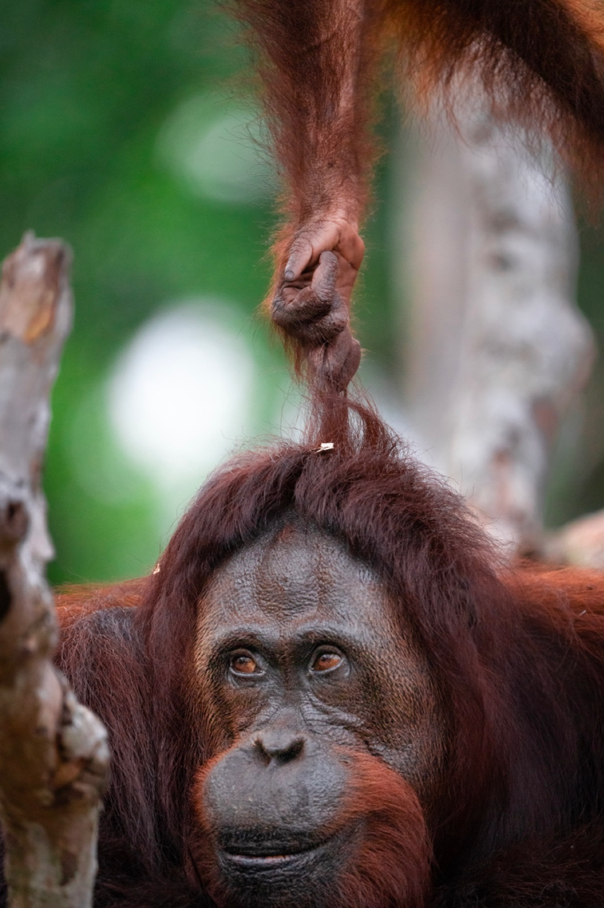 Screen Shot 2024-04-14 at 1.29.27 PM.png