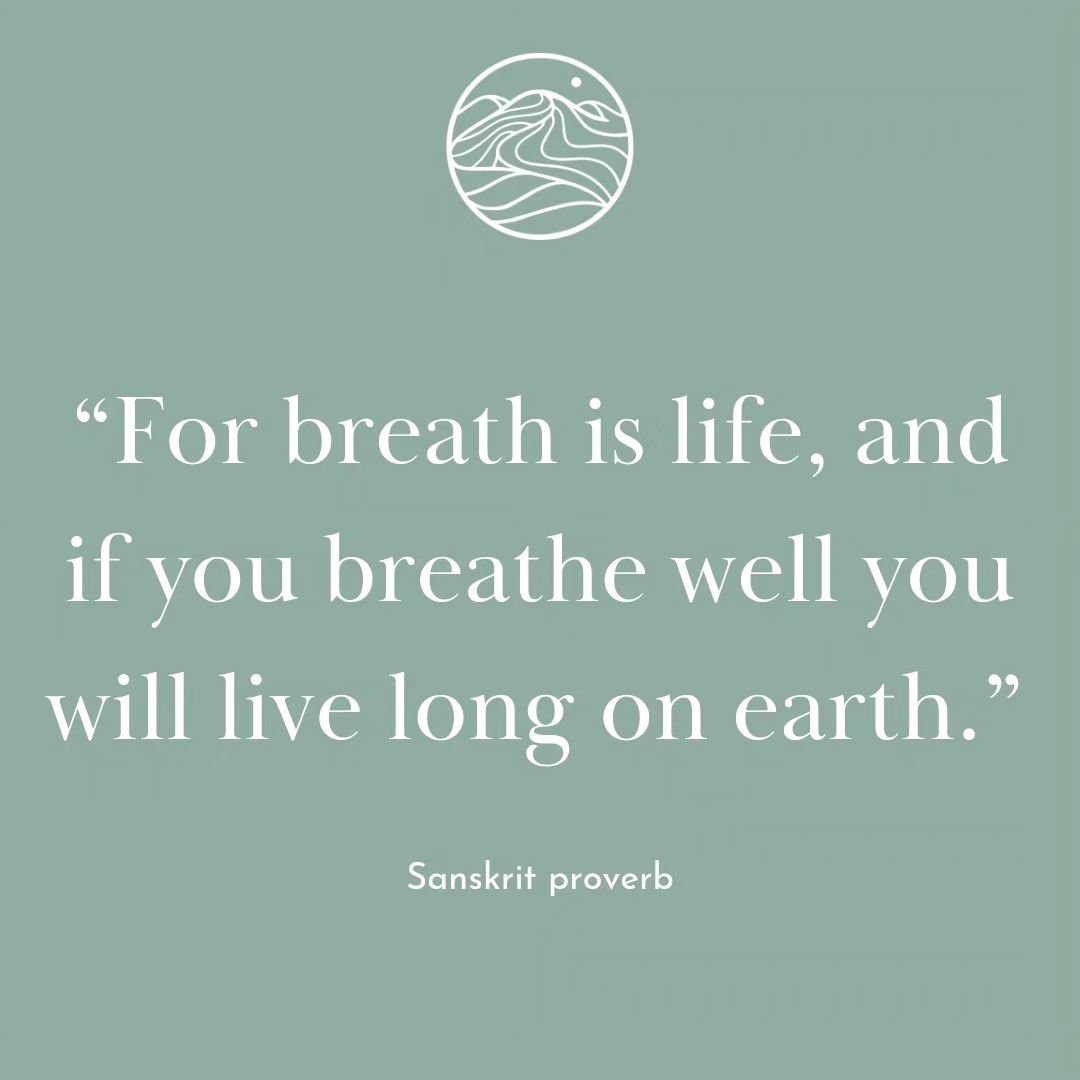 This is just one of the countless yet overarching benefits of conscious breathing. It improves our well-being in so many ways, breath is life and conscious breathing heals 💖

#breathworkscotland #breathetoheal #breathetogether #anxietyrelief #nervou