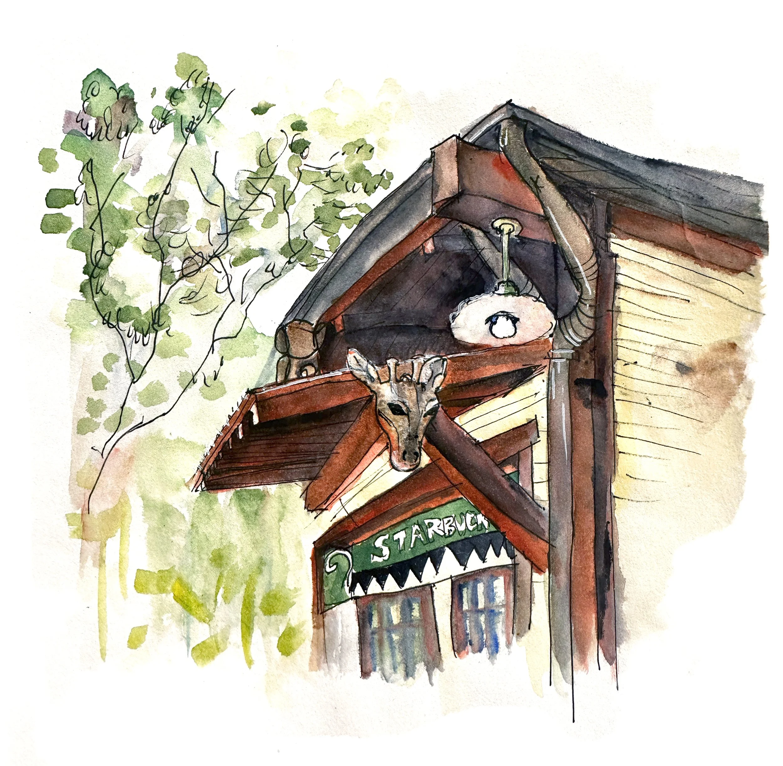 starbucks in ak.jpg