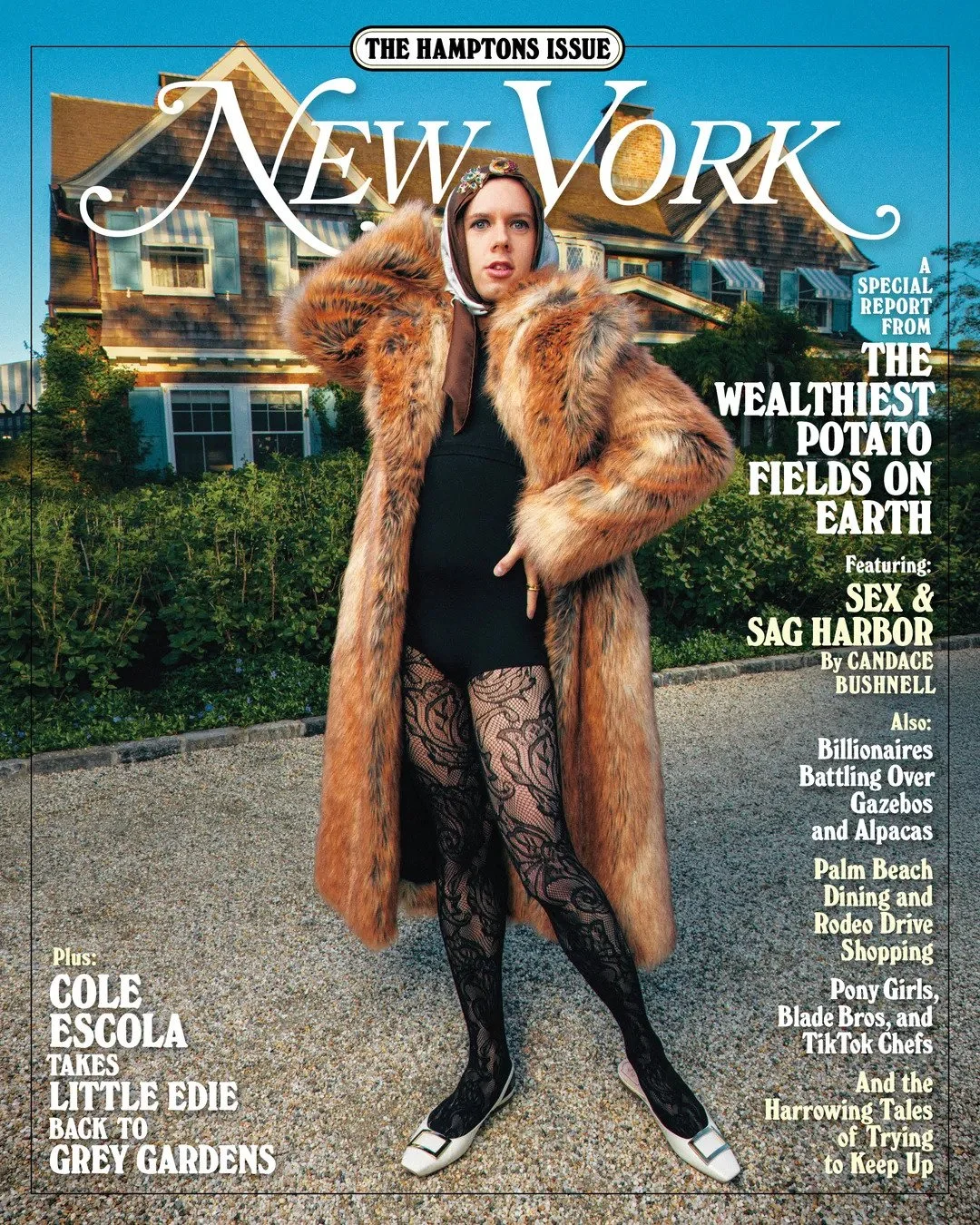 Daniel Edley - New York Magazine