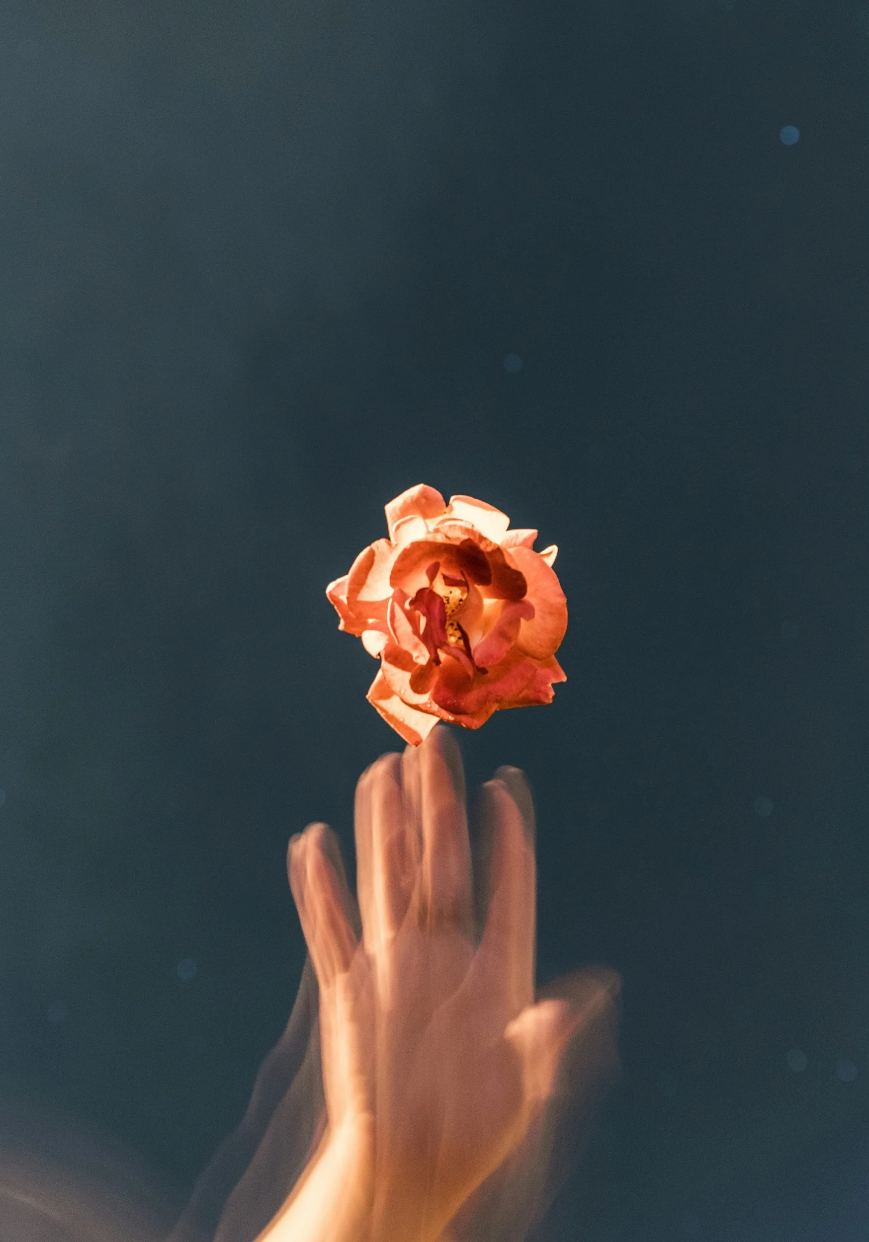 The Tiny 'Breadcrumbs' Back To Yourself