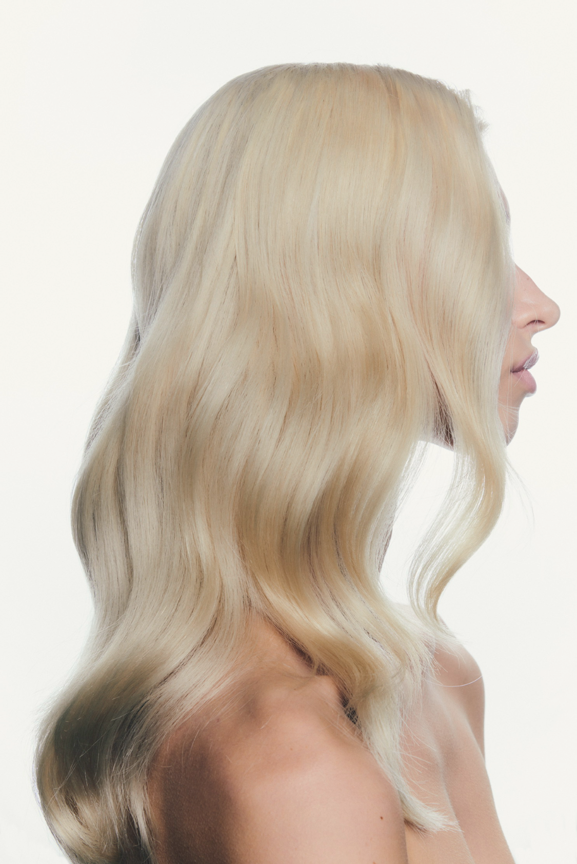 Open folder Website.jpeg.png