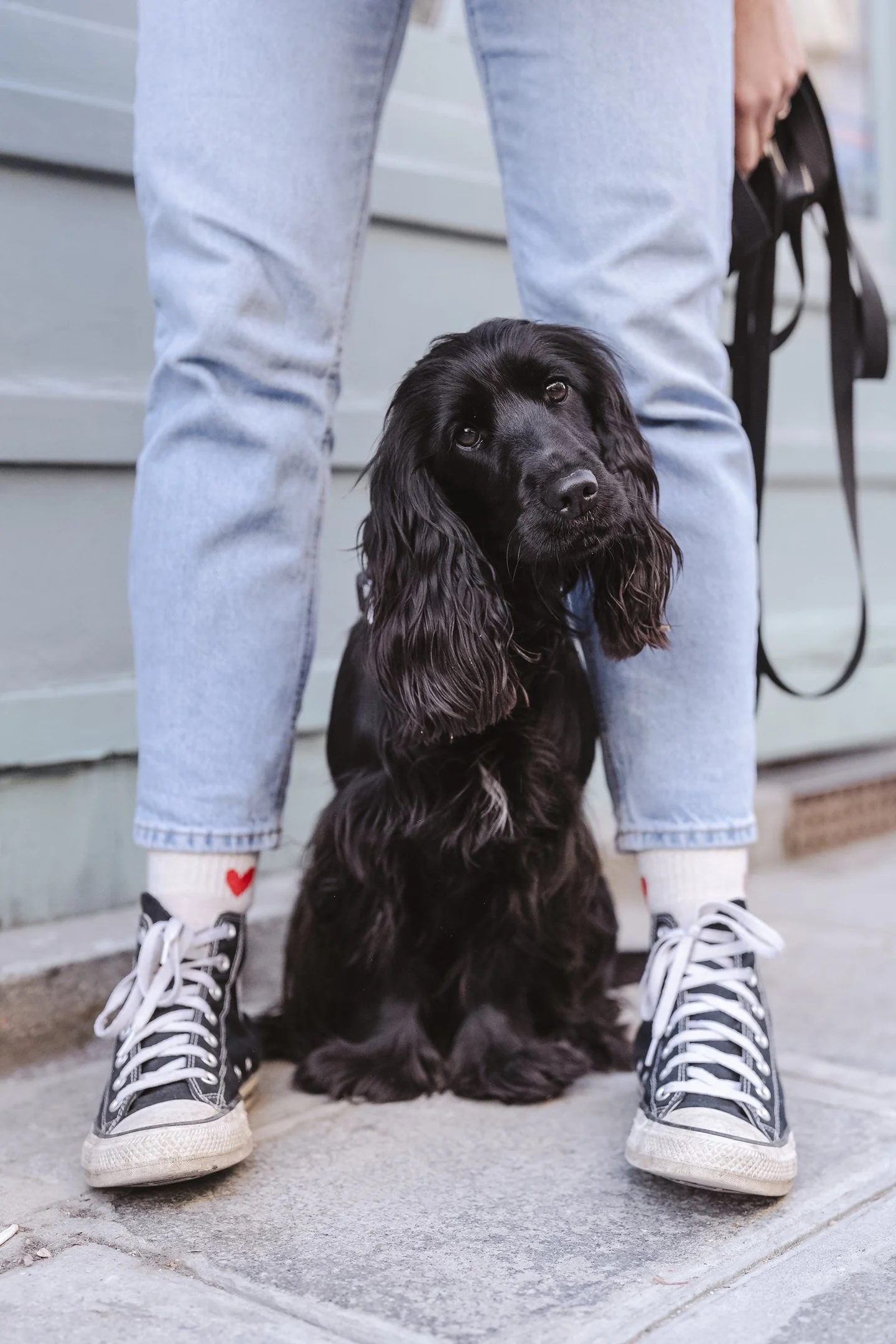 Person standing with legs apart on concrete ground, holding a leash in hand, with a black retriever dog sitting between their legs, looking up. The person is wearing light-wash jeans, white sneakers with black accents, and socks with red hearts.