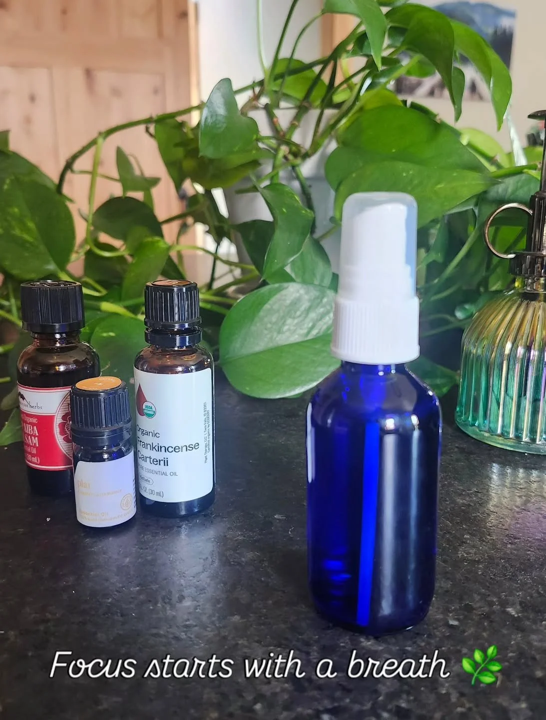 Meditation rituals help bring me inward.🕯️Before I sit down, I light a candle, my phone gets silenced and I take a few grounding breaths. Then I mist Center Focus Spray into the room. 🌿
.
The warm, resinous aroma helps quiet my mental chatter so I 