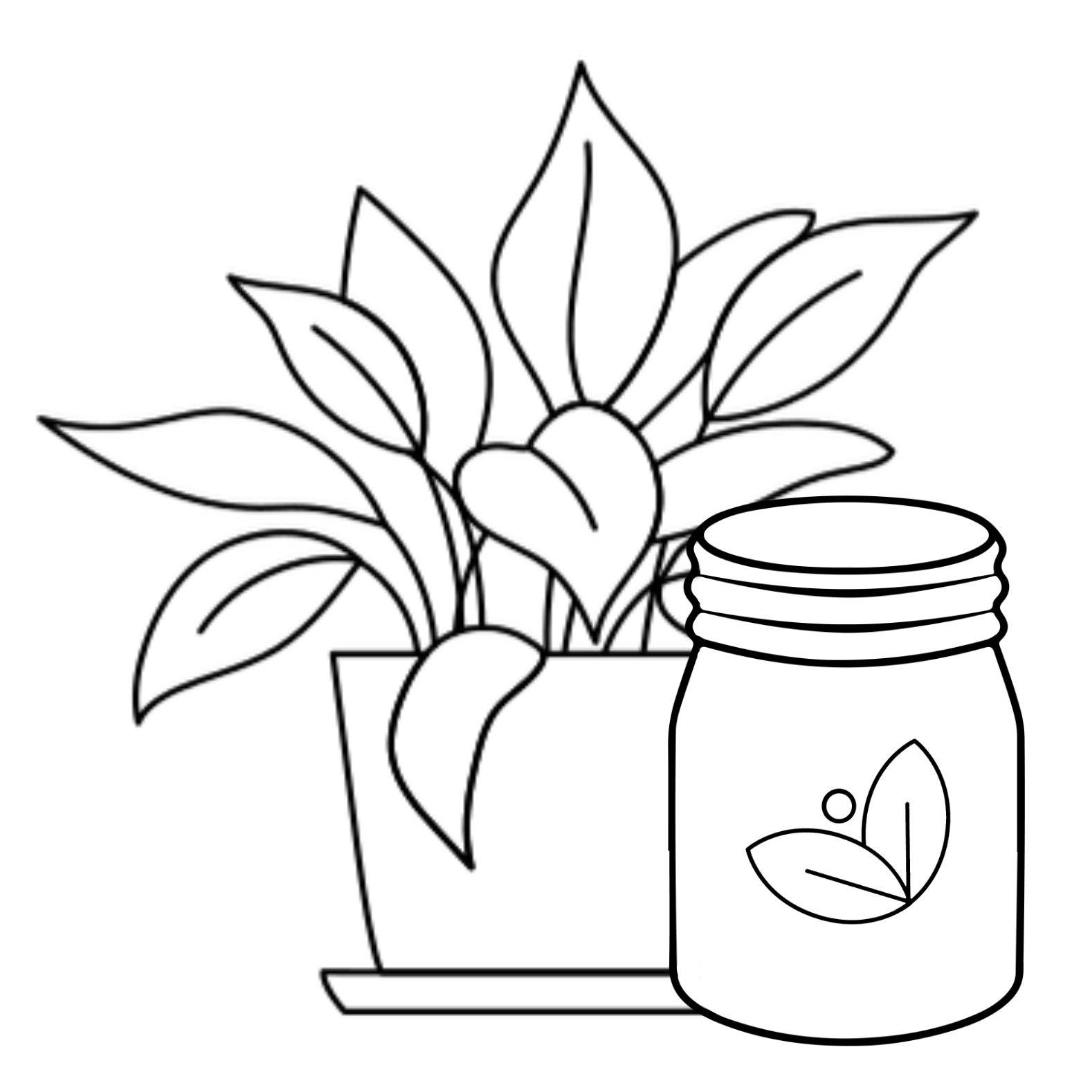 product offerings