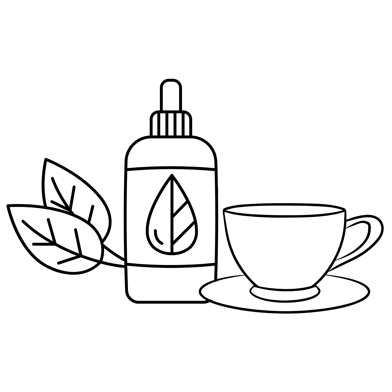 events and workshops
