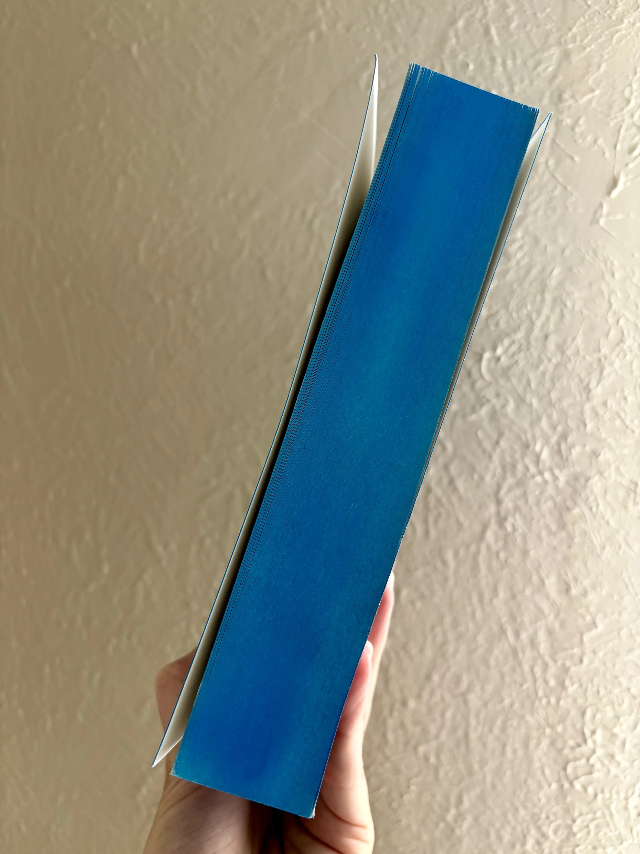 thelightwithinsprayed2.jpg (Copy)