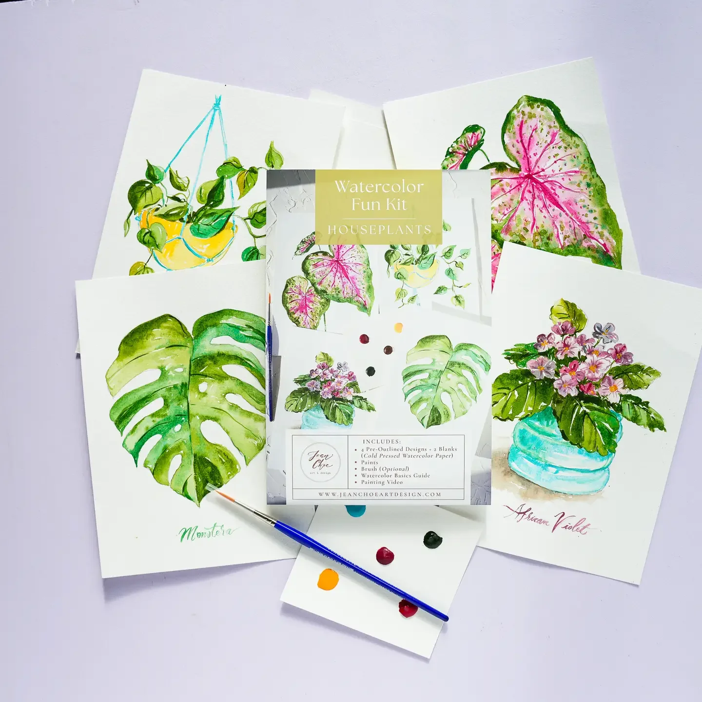 Houseplants Watercolor Painting Kit with Paint & Brush