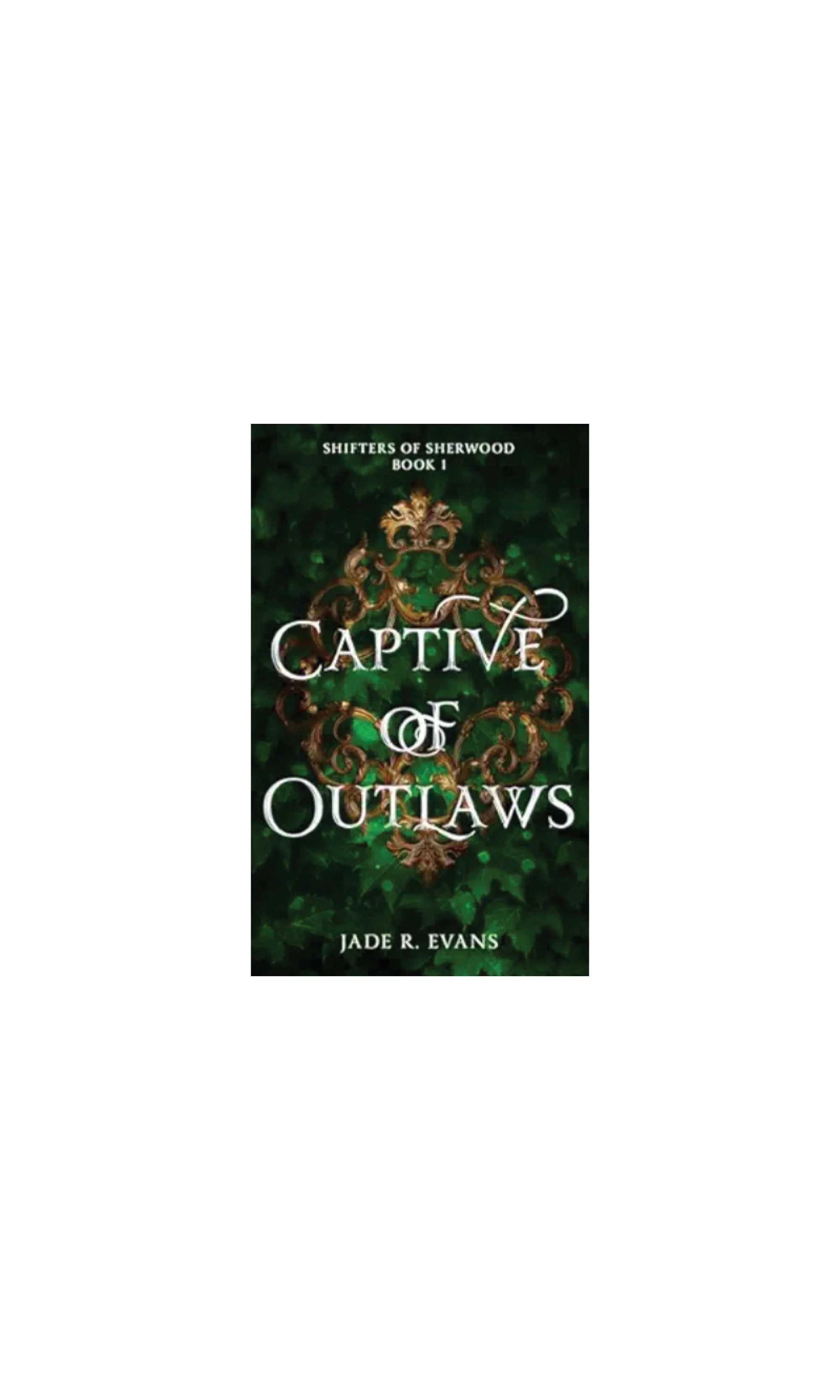 Captive Of Outlaws | Jade Evans