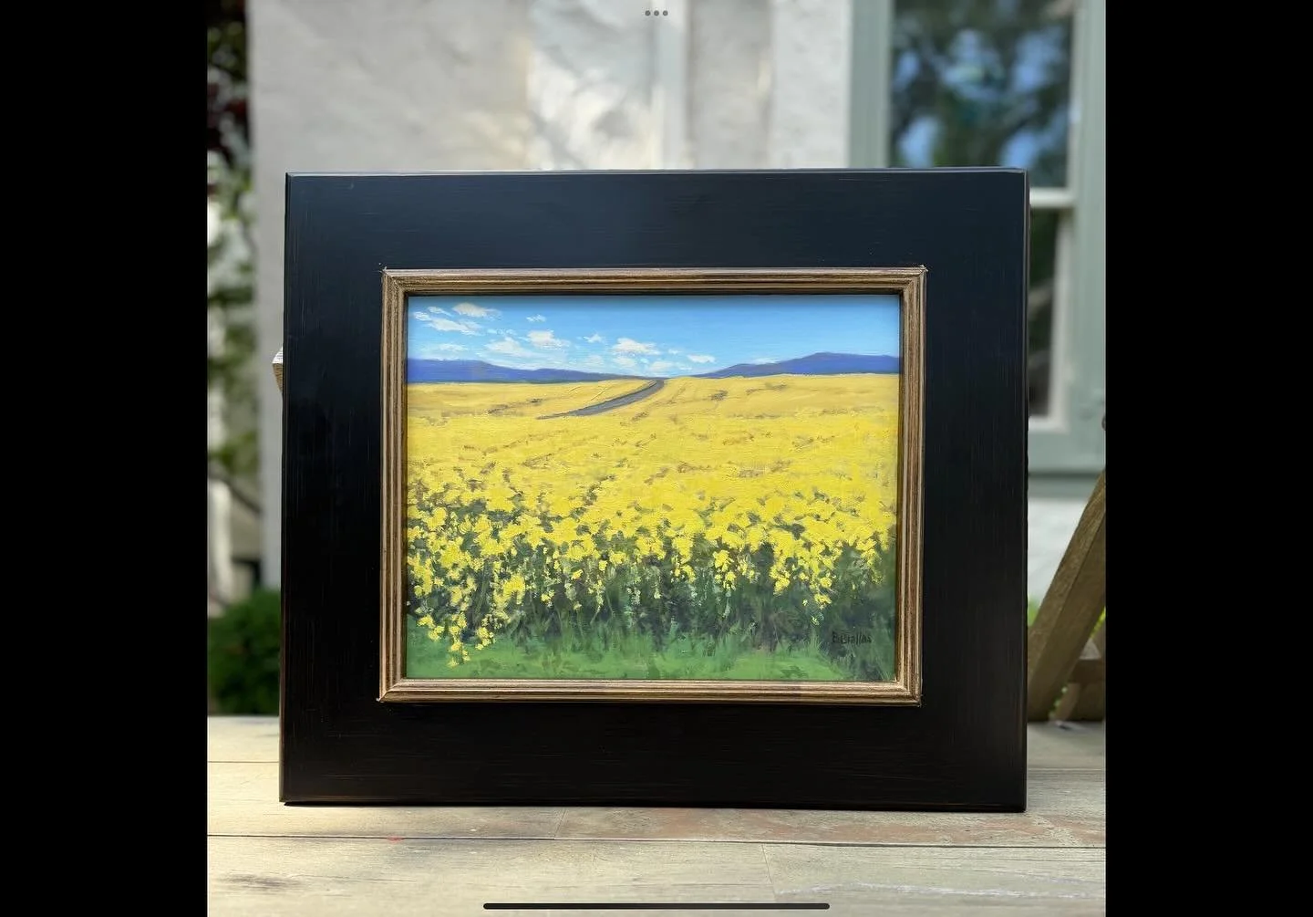 Wisconsin Green and Gold.

#wisconsinpainter #goldandgreen #oilpainters #flowerlover #flowerfield #paintings #farmlandscape #americanfarms #wisconsinfarms