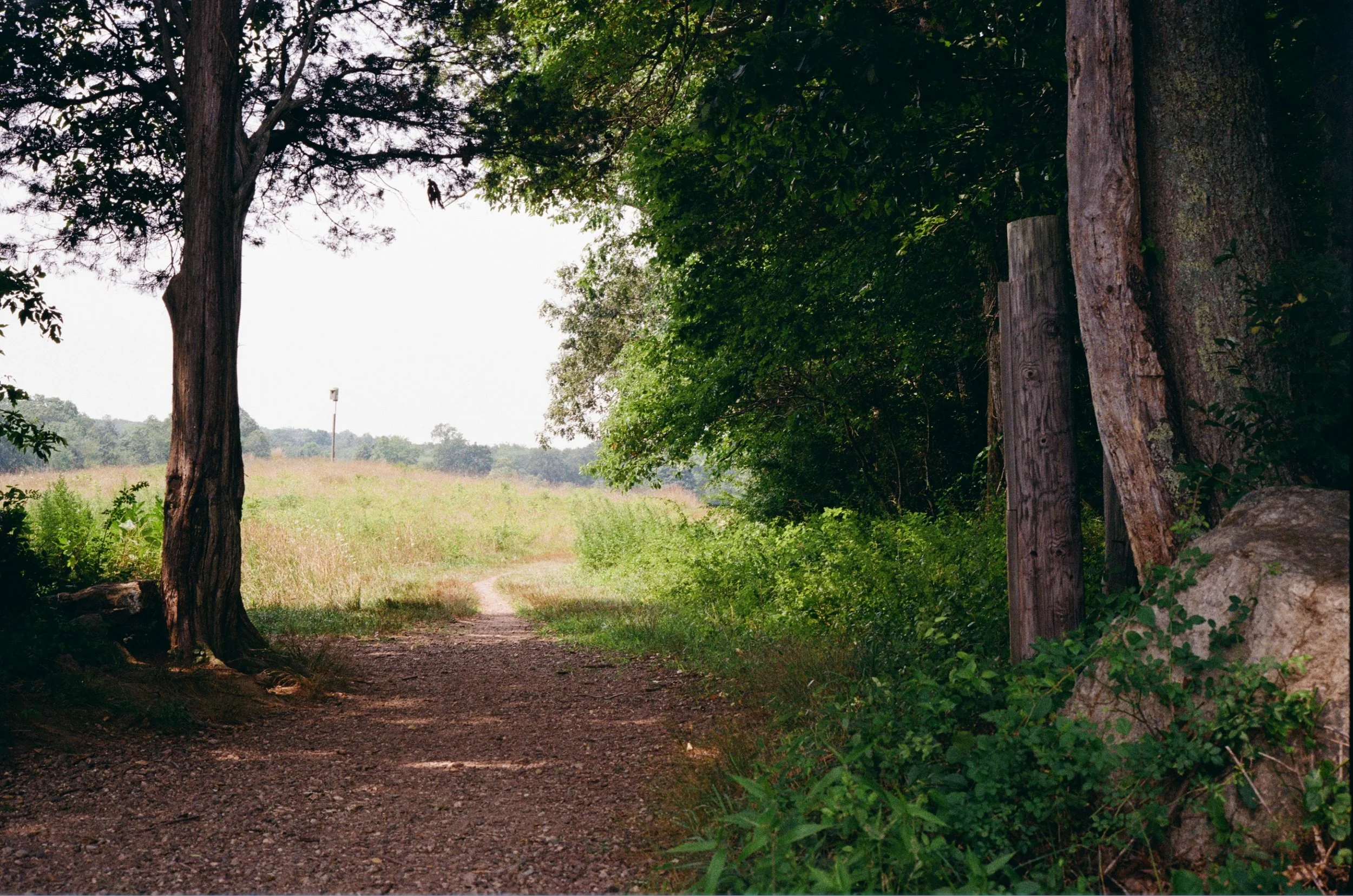 kodak_200_c_41_11730_101728_227410_002270010029.jpg
