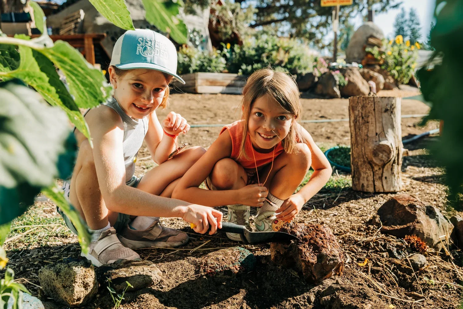 Session 9: Plant Power