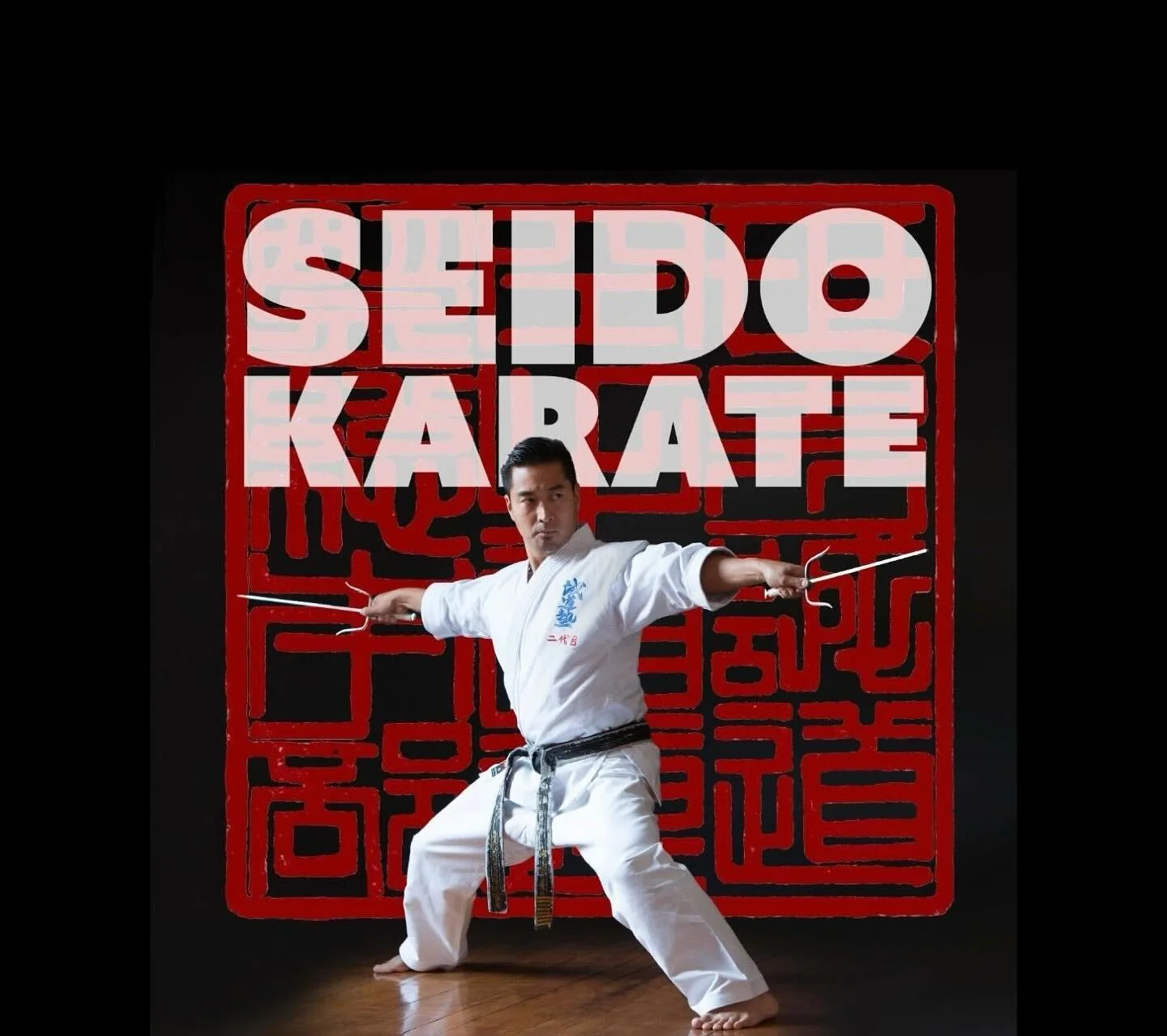 Seido Karate blends the timeless philosophy and techniques of traditional Japanese karate with a modern approach to fitness, community, and personal growth. Whether you&rsquo;re a beginner or an experienced martial artist, we offer classes tailored t