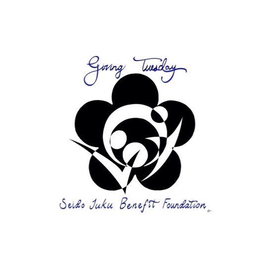 Tomorrow, 12/2 for Giving Tuesday consider making a tax-deductible donation to the Seido Juku Benefit Foundation.  LINK TO DONATE IN PROFILE

Over the years, Seido Juku Benefit Foundation has supported many important initiatives in the community, and
