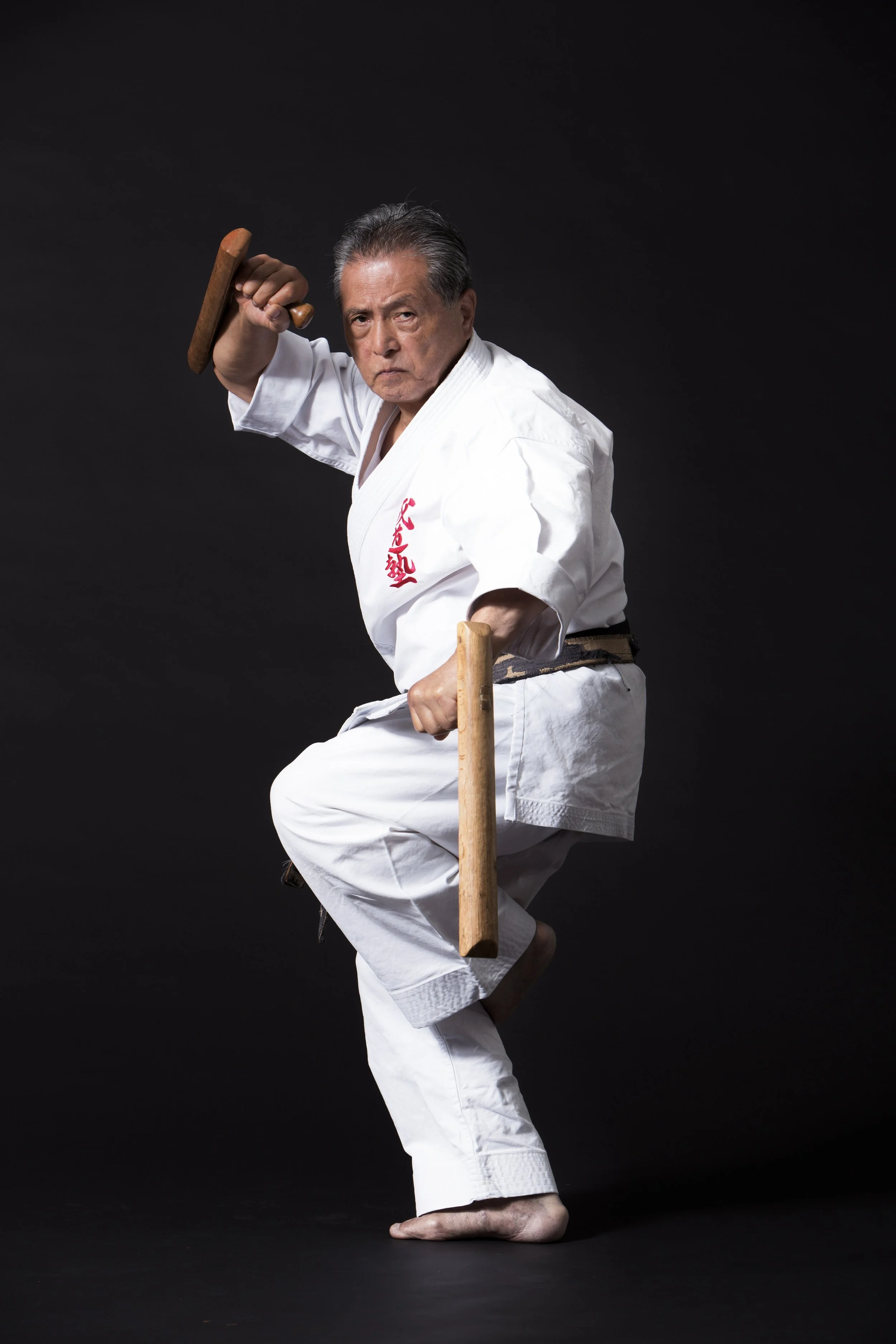 Sixth/MARTIAL LAW SWEDENBORG(DIEZW3Eメンバー About 4 — World Seido Karate