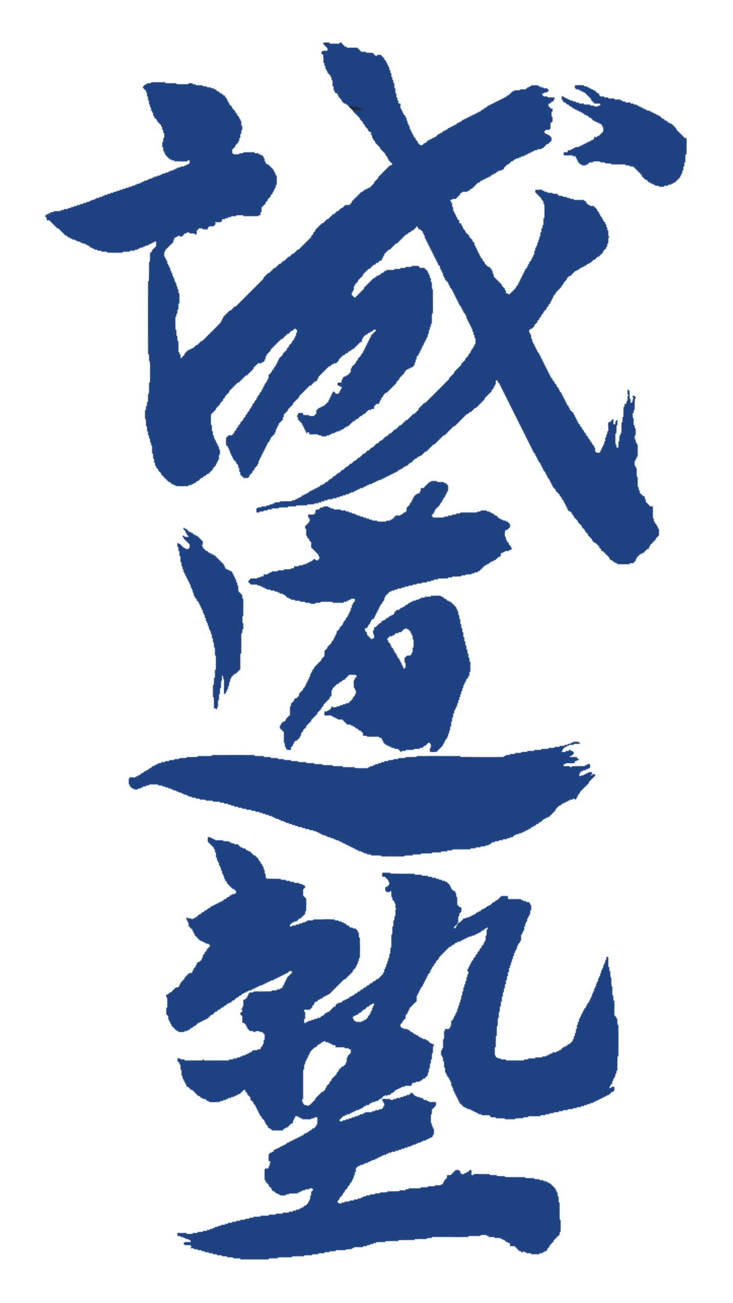 World Seido Karate