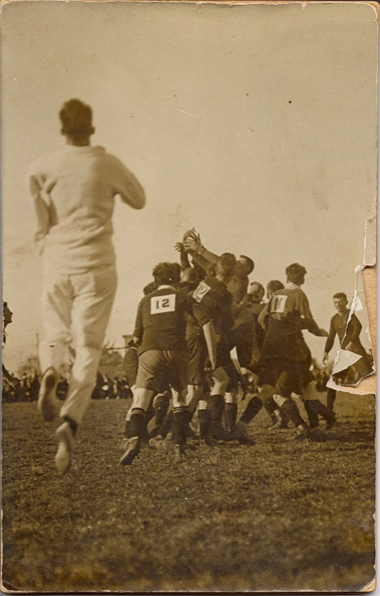 Tom French referee.jpg