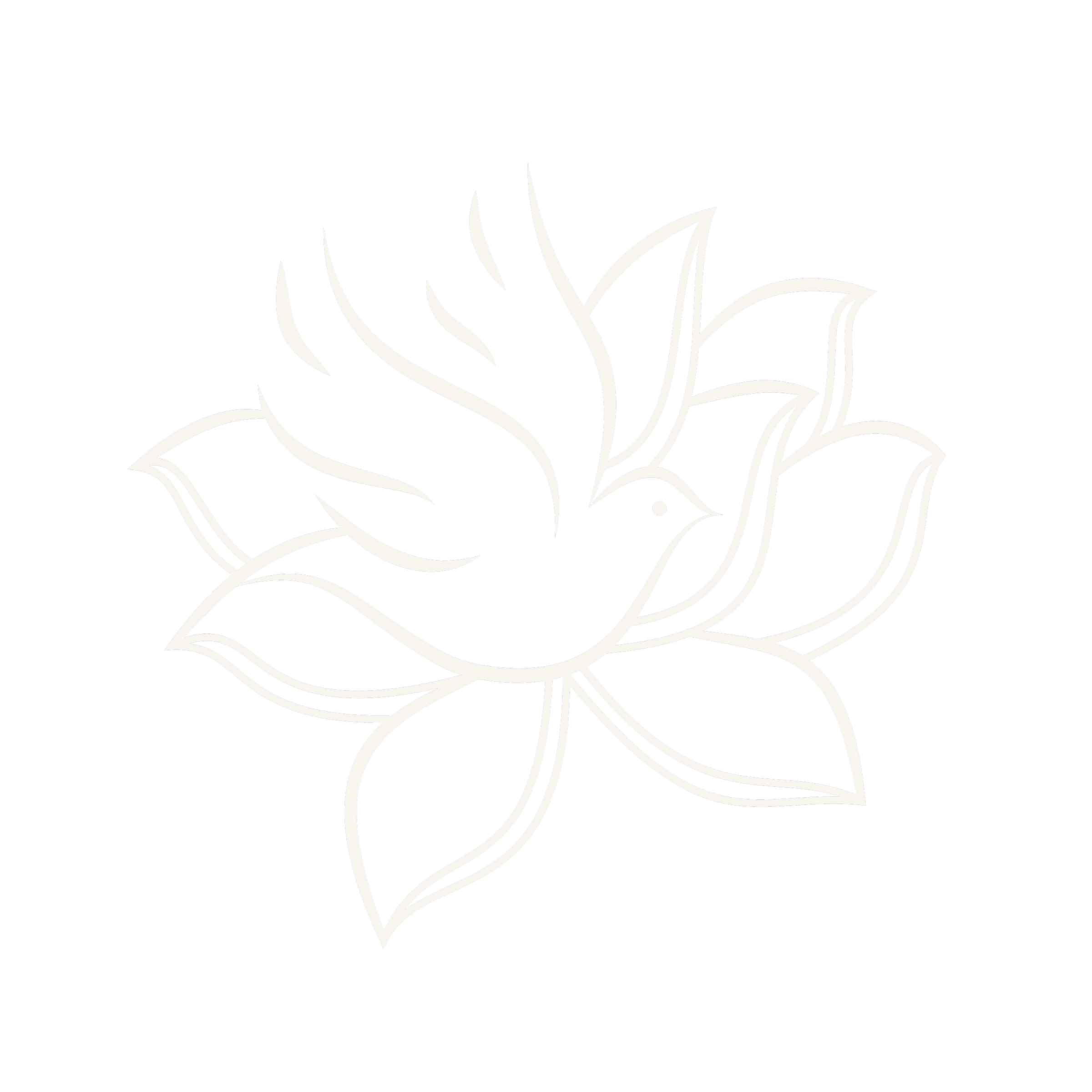 Dove on a Lotus Flower