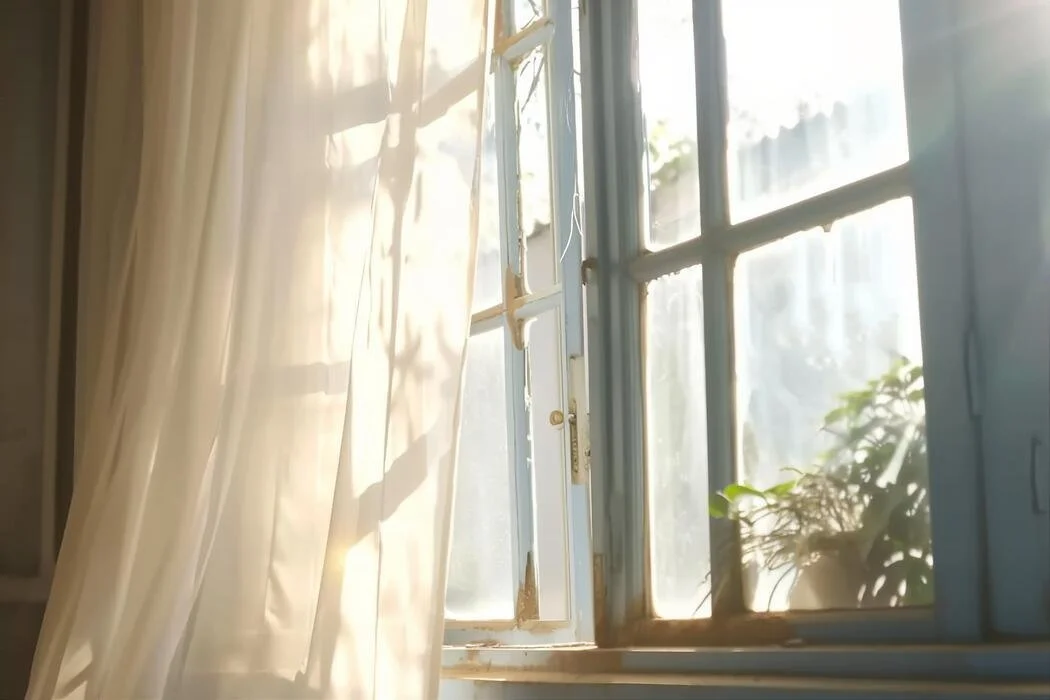 Sunlight filtering through an open window with a sheer curtain and a potted plant outside.