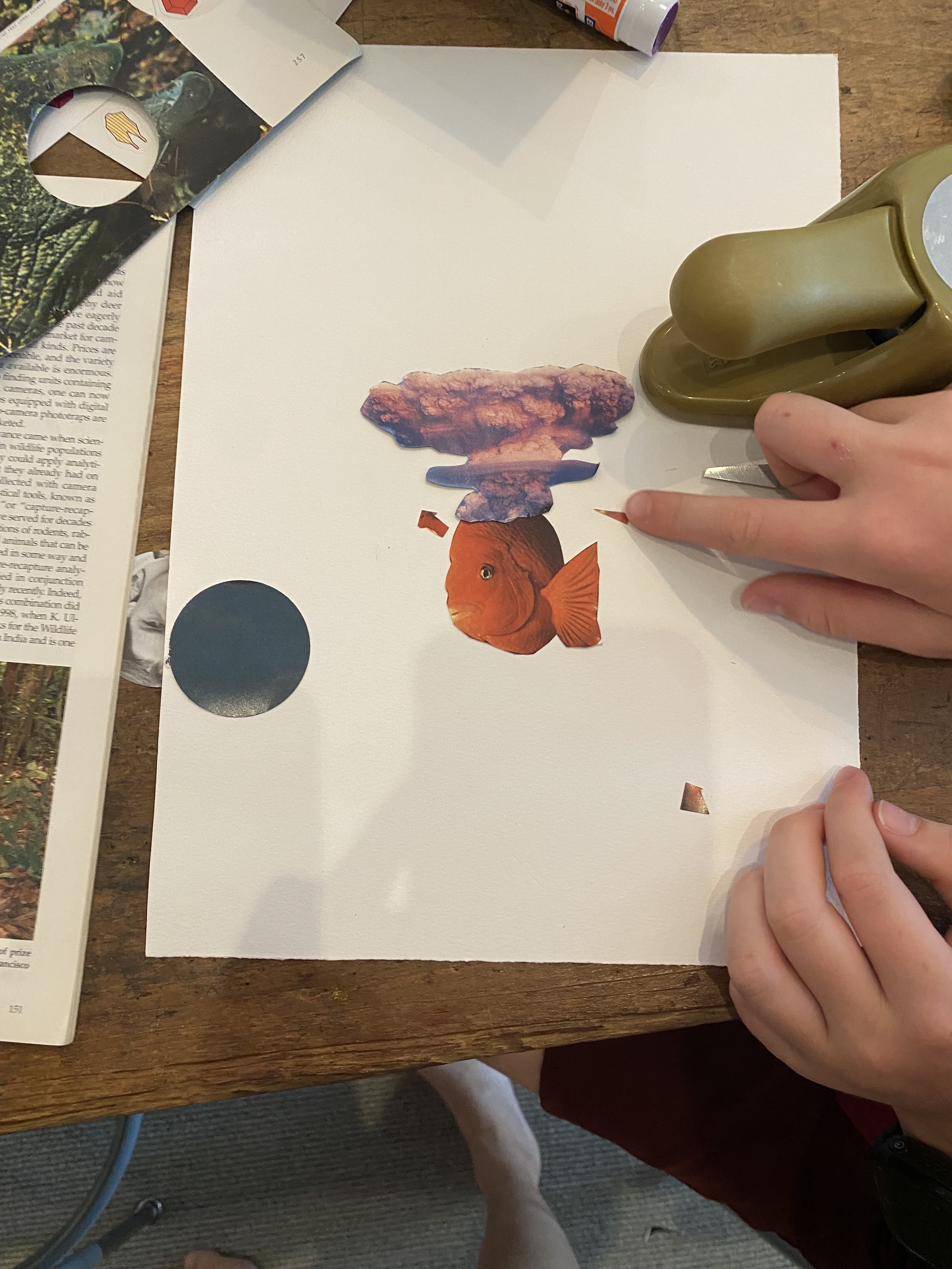 IMG_7011.jpeg