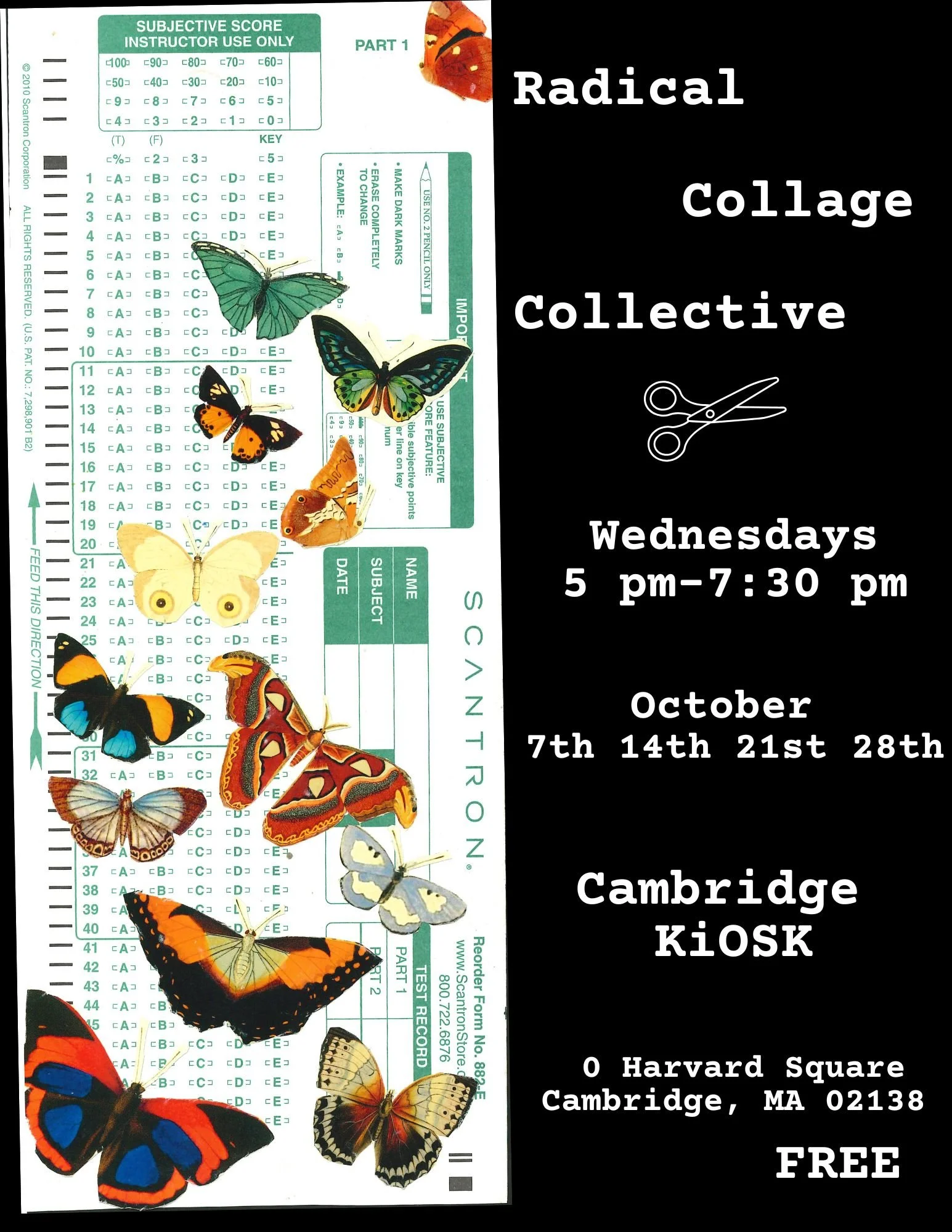 Radical Collage Collective