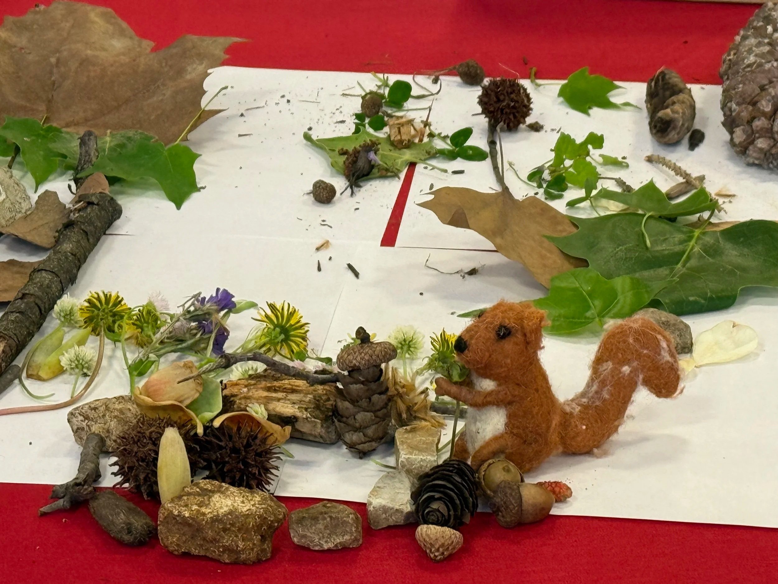 Collection of natural objects including rocks, sticks, pinecones, dried leaves, and some felted animals on a white surface with a red background.