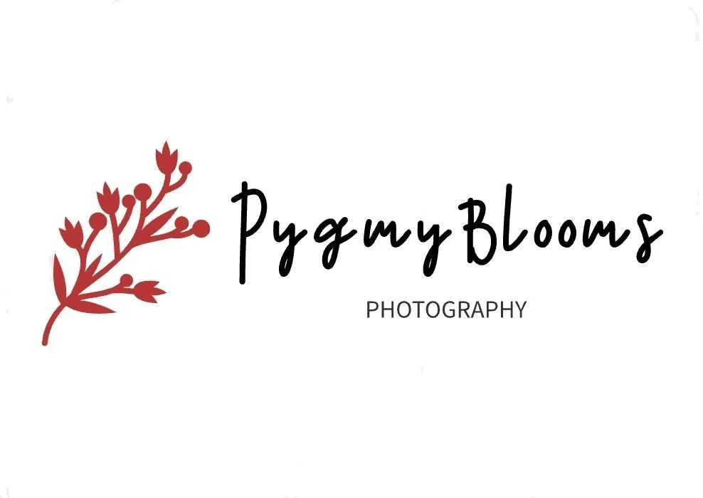Pygmy Blooms Photography
