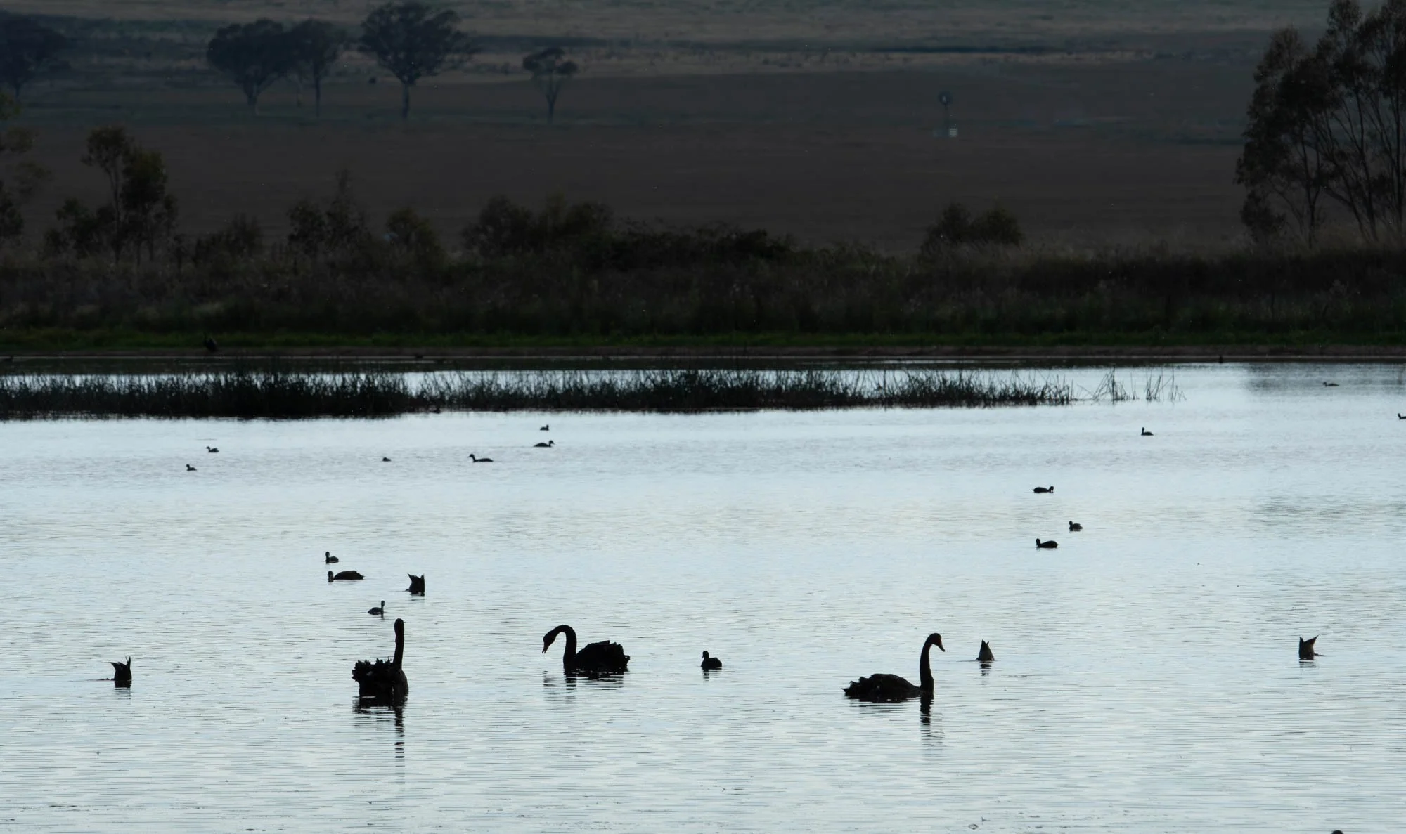 Dangars Lagoon-34.jpg