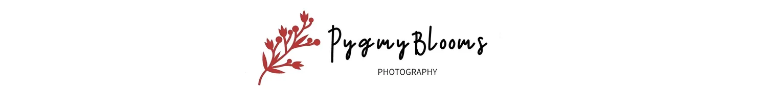 Pygmy Blooms Photography