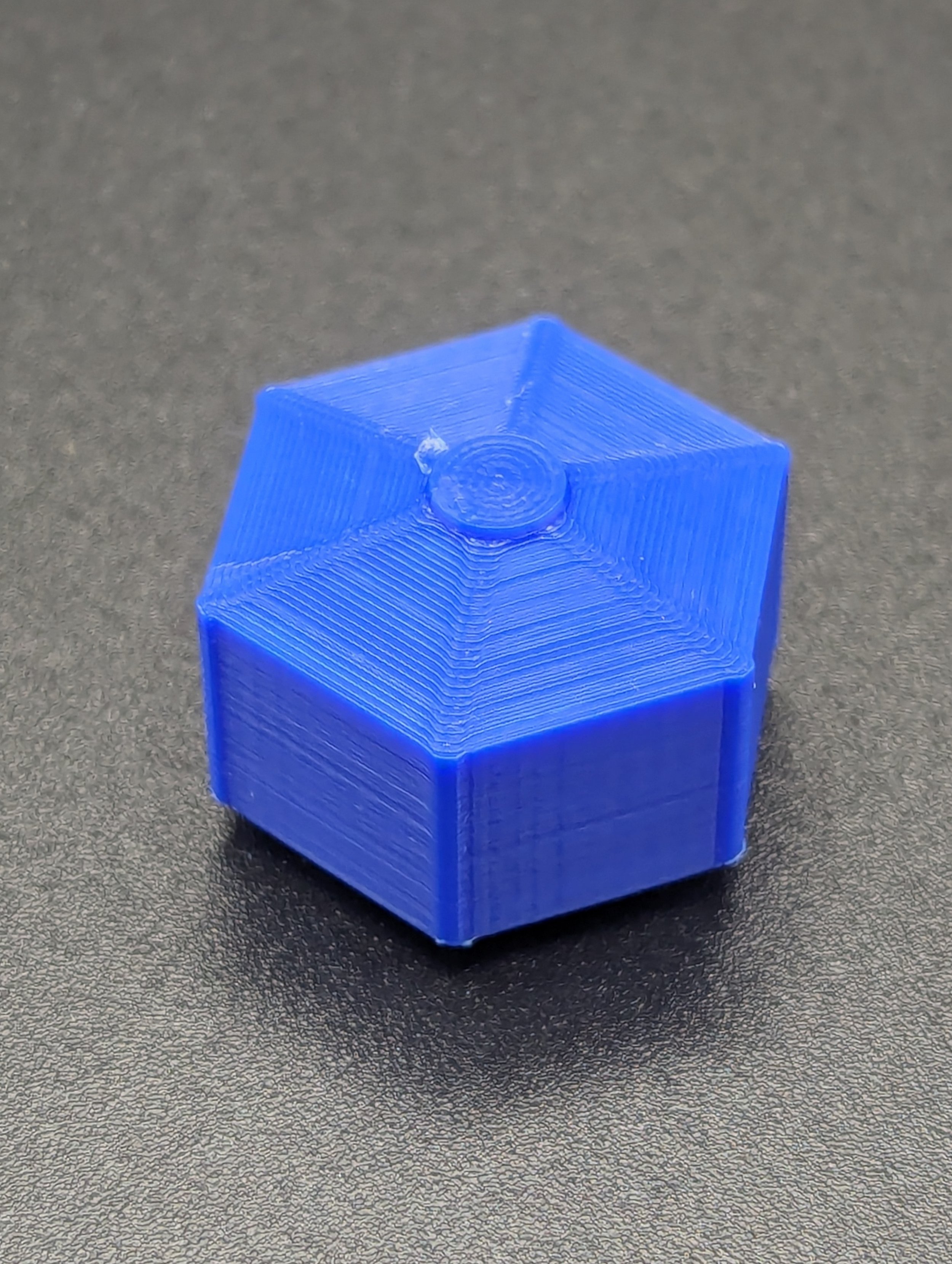 PXL_20240405_145529576.jpg