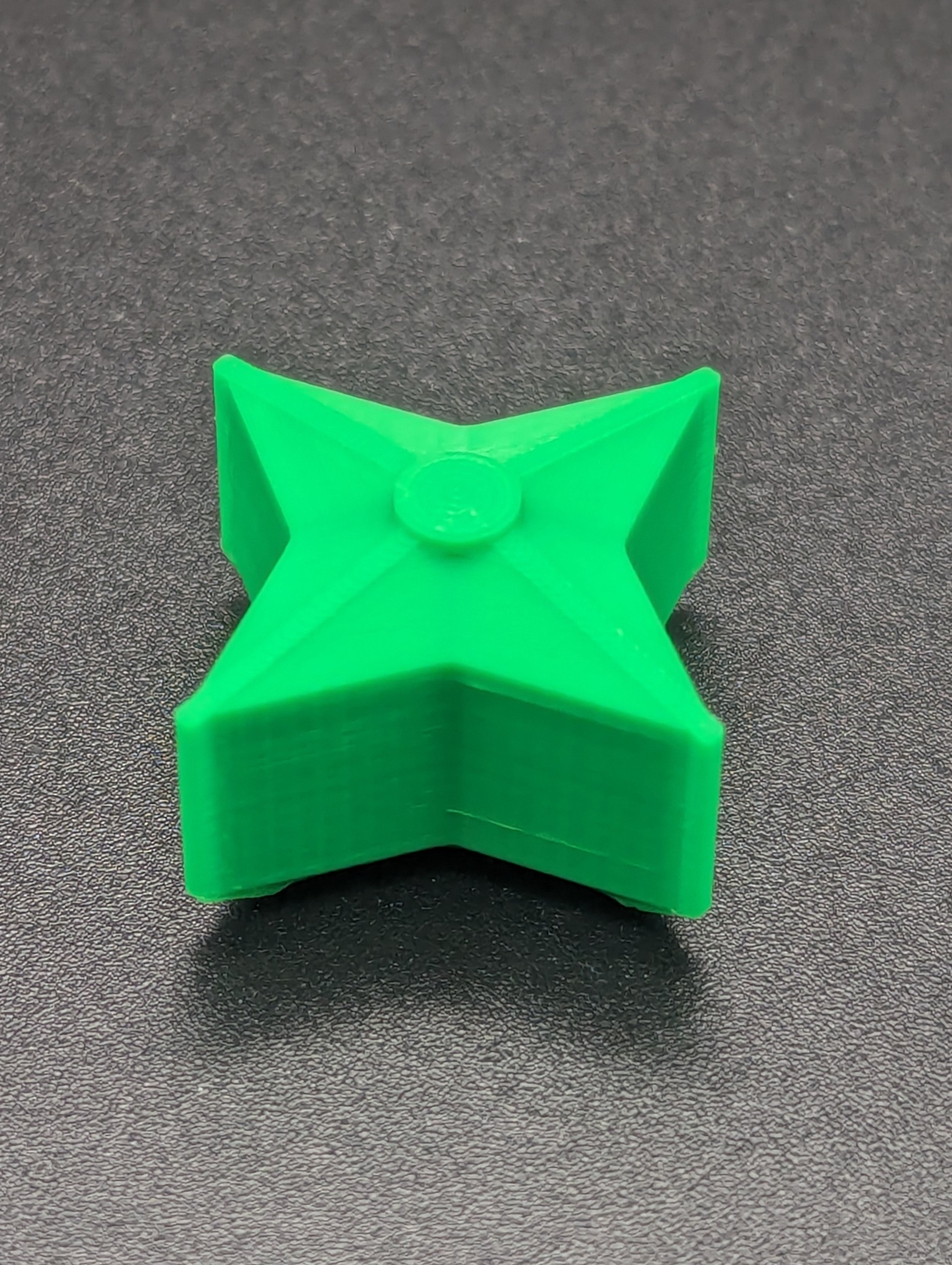 PXL_20240405_145523777.jpg