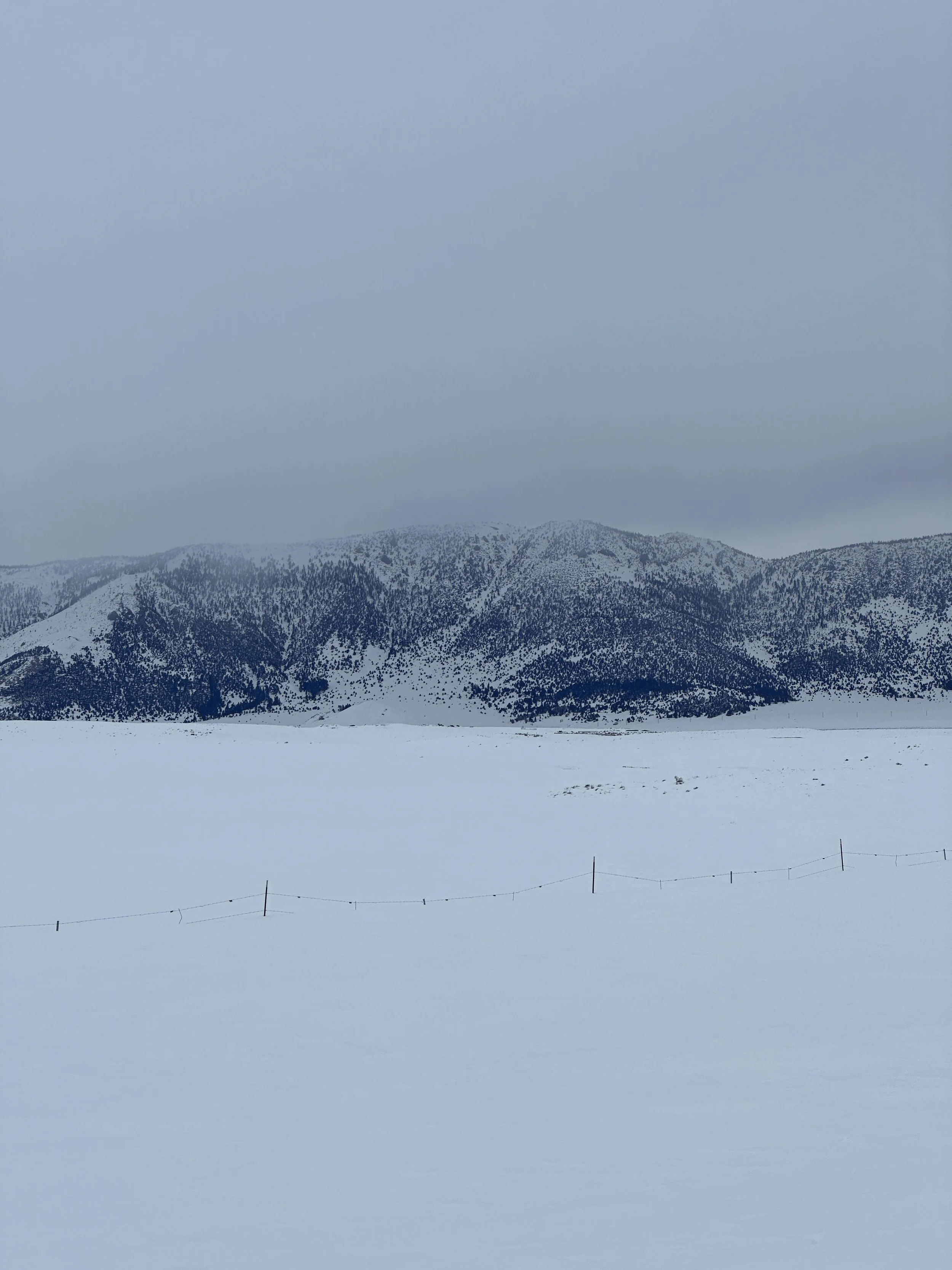 Snow-covered landscape with distant snow-capped mountains under a cloudy sky.