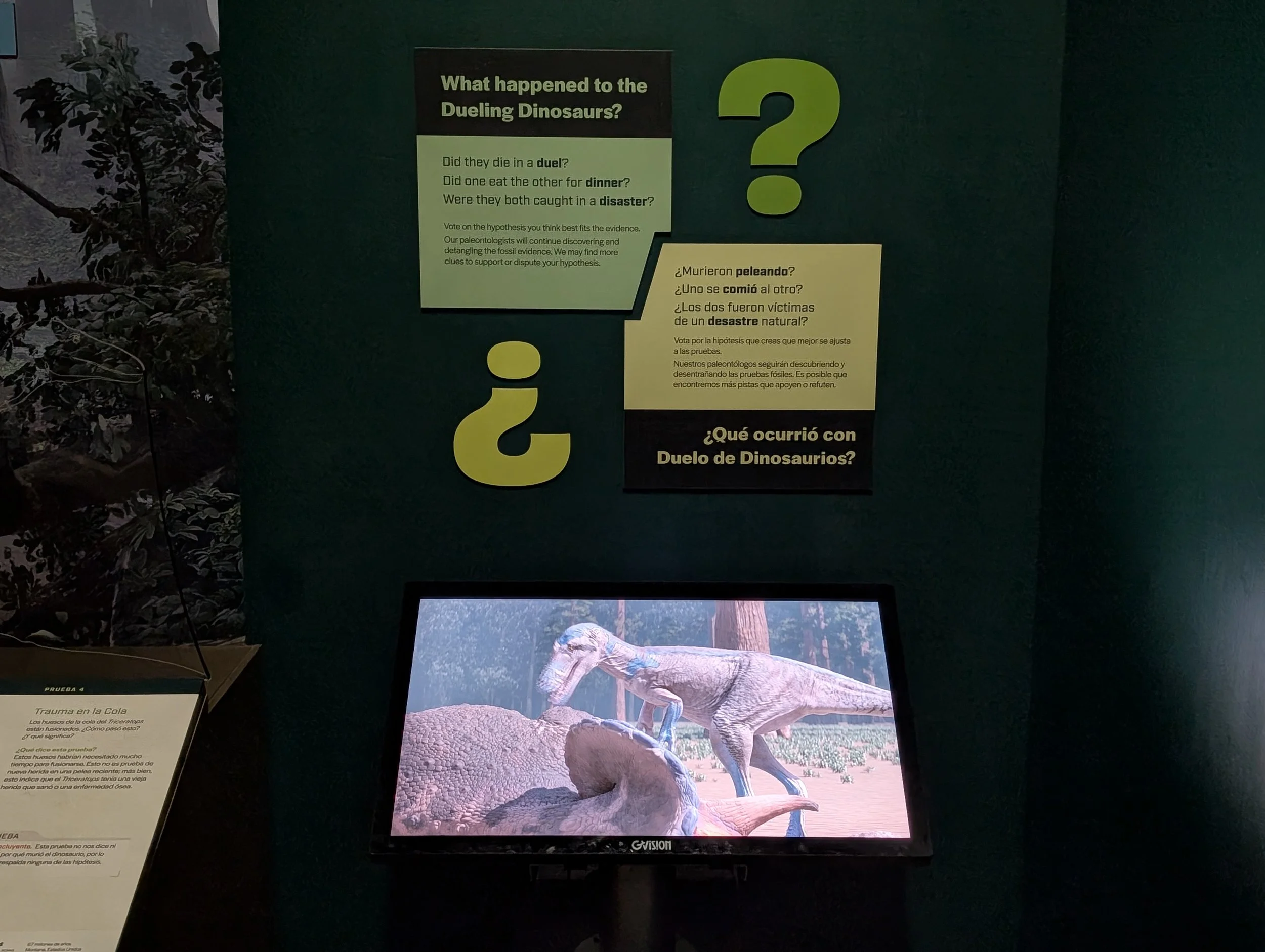 Dueling Dinosaurs Voting Interactive Kiosk