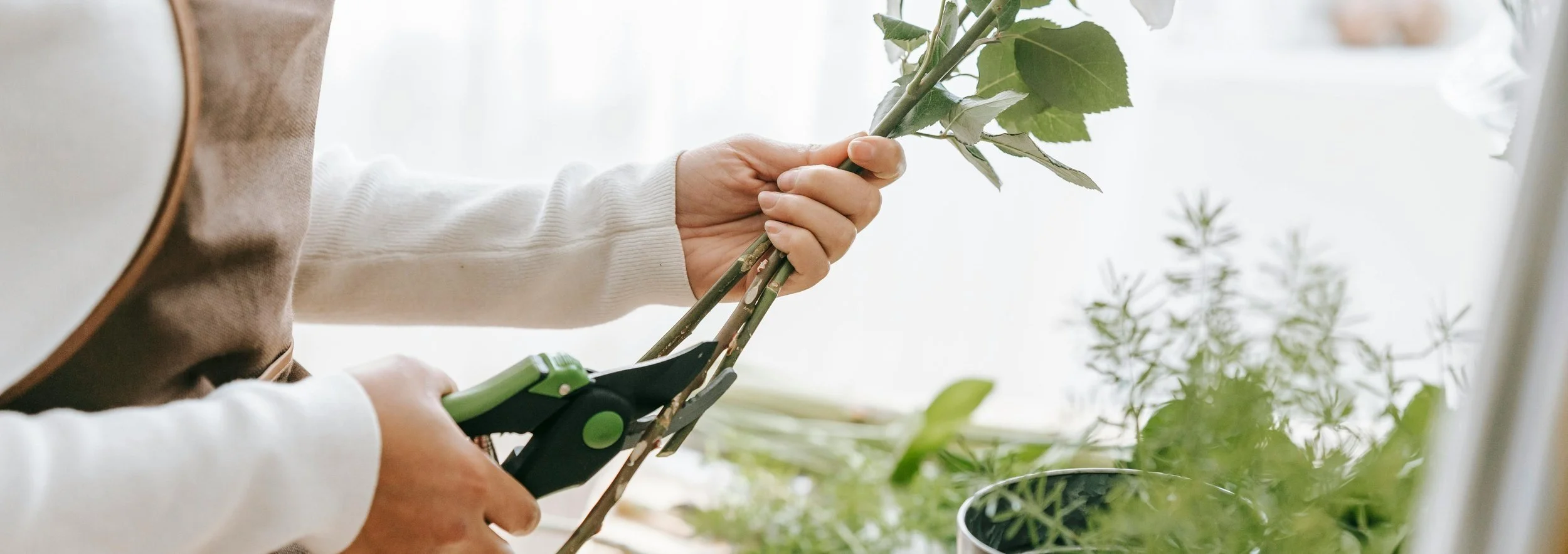The Essential Tool for Every Florist: A Guide to Choosing the Right Shears