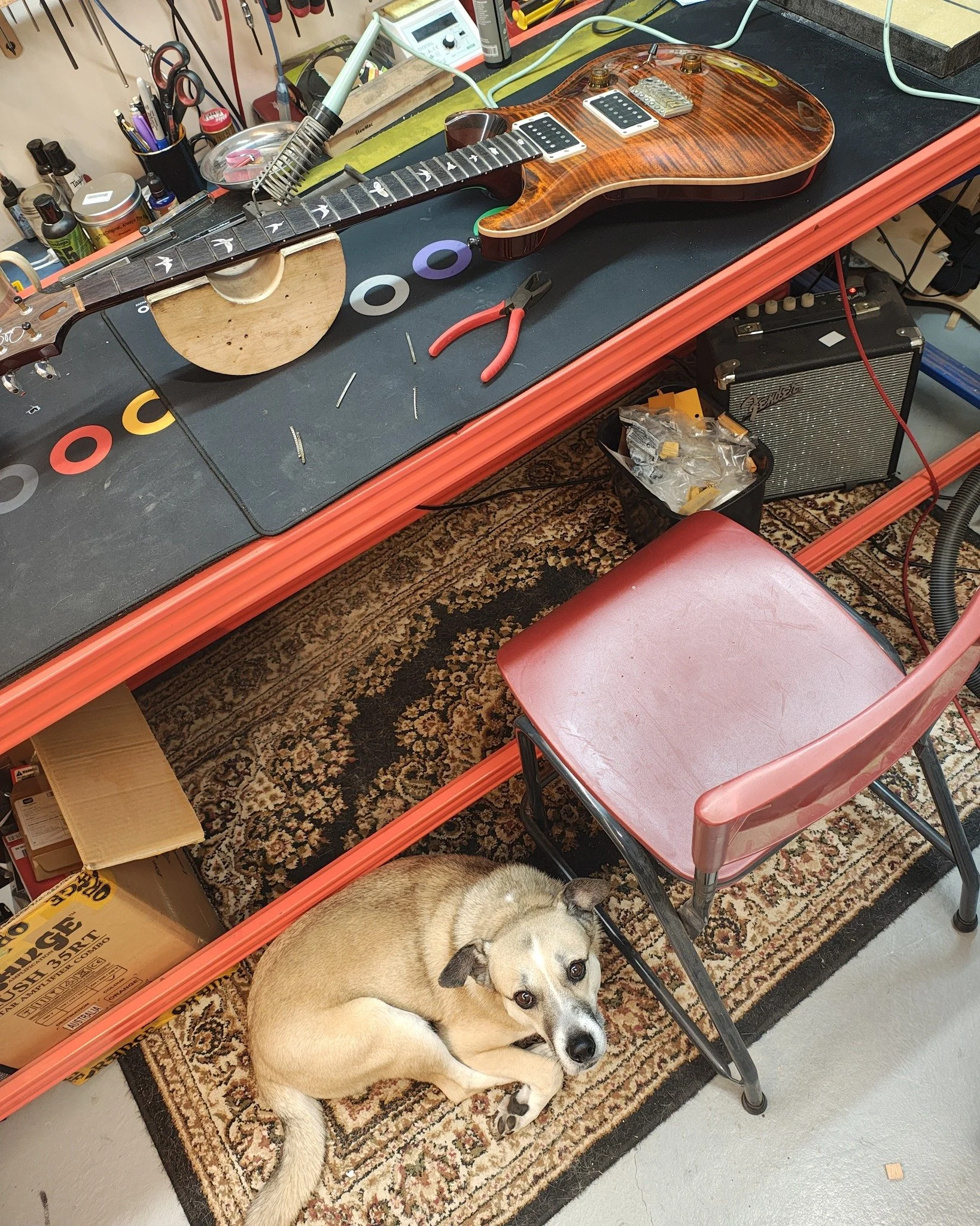 Few refrets on the go..some photos of the process #axewoodguitarworks #guitarservice #guitarrepair