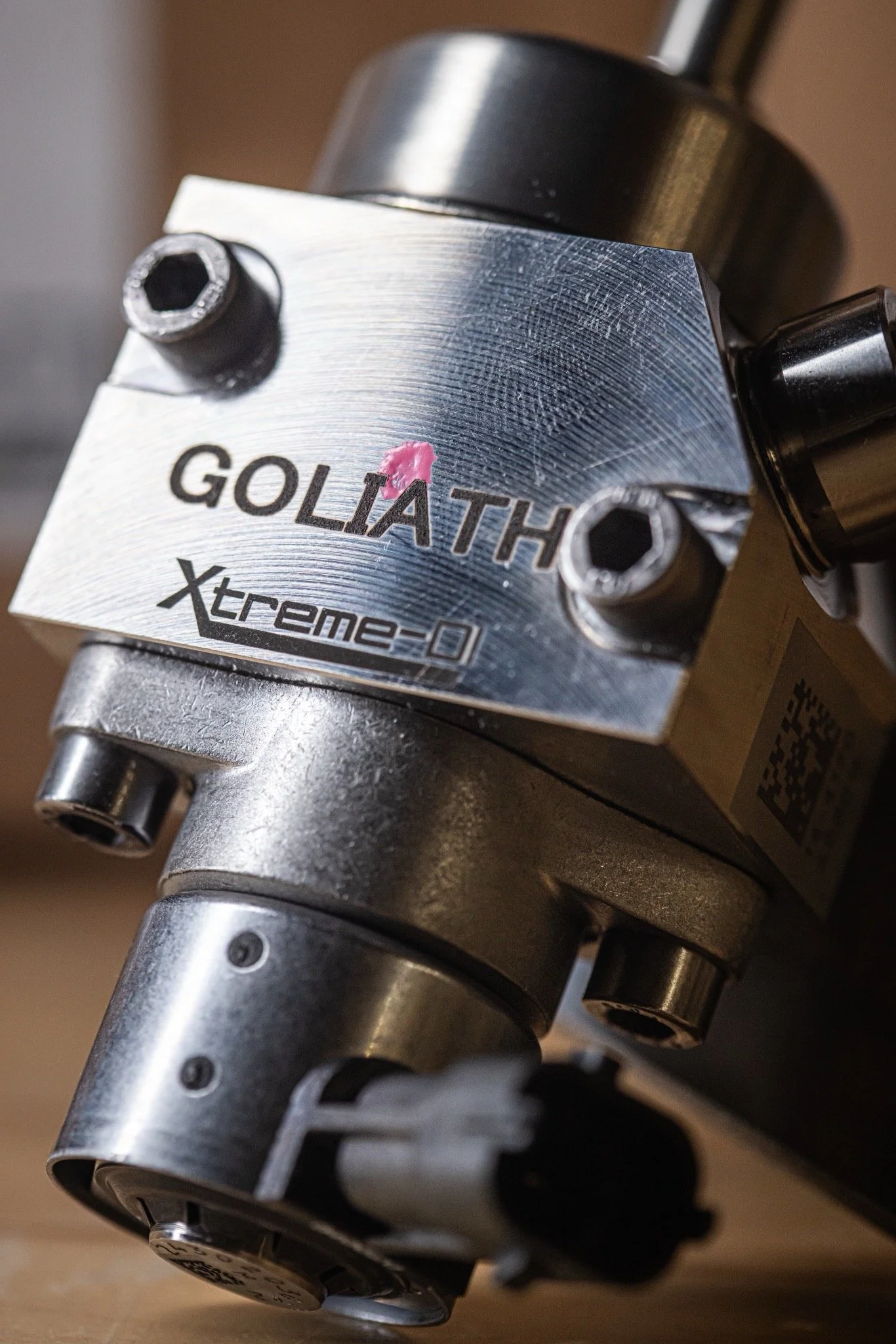 Goliath.22.jpg